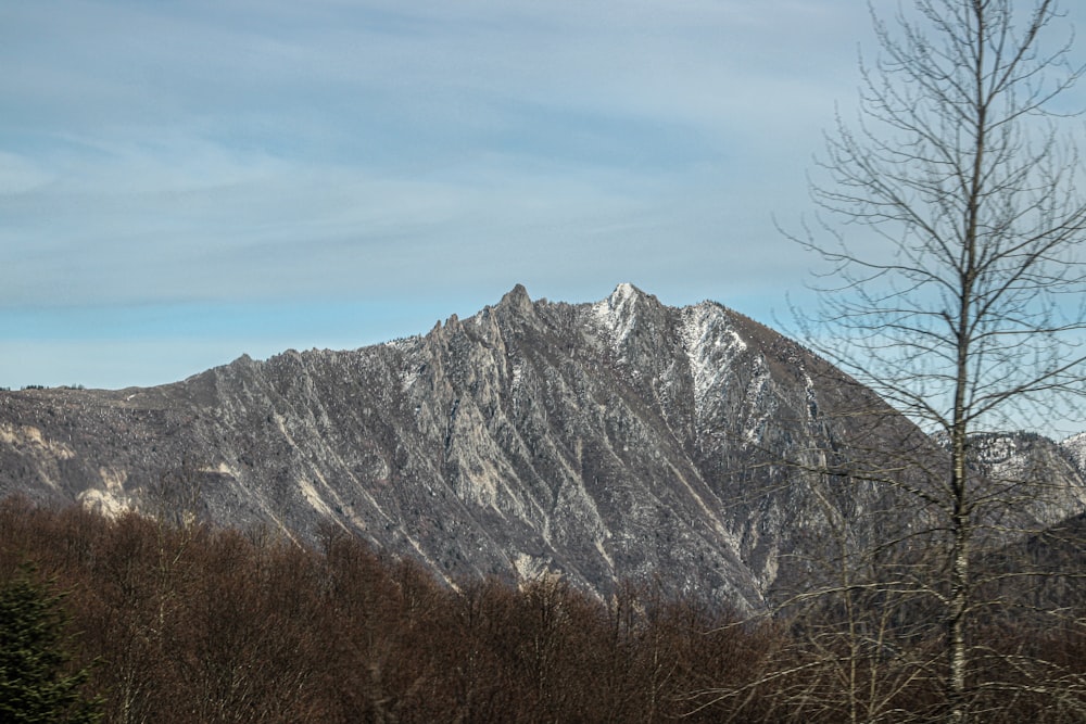 a view of a mountain range with a few trees in the foreground