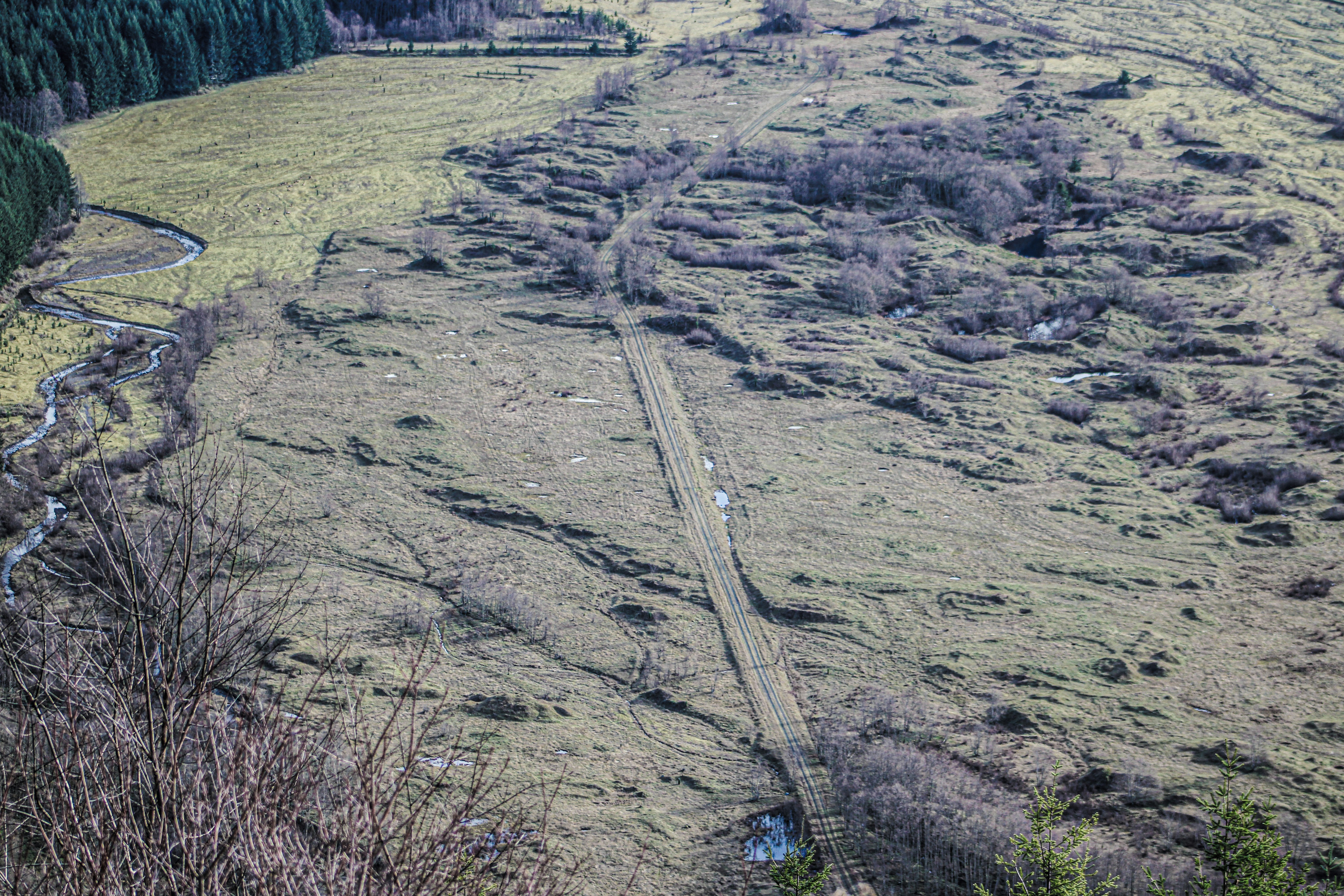 Magdalen Road Plots