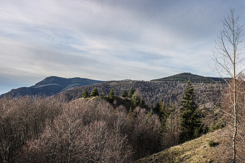 a view of a mountain with a few trees in the foreground