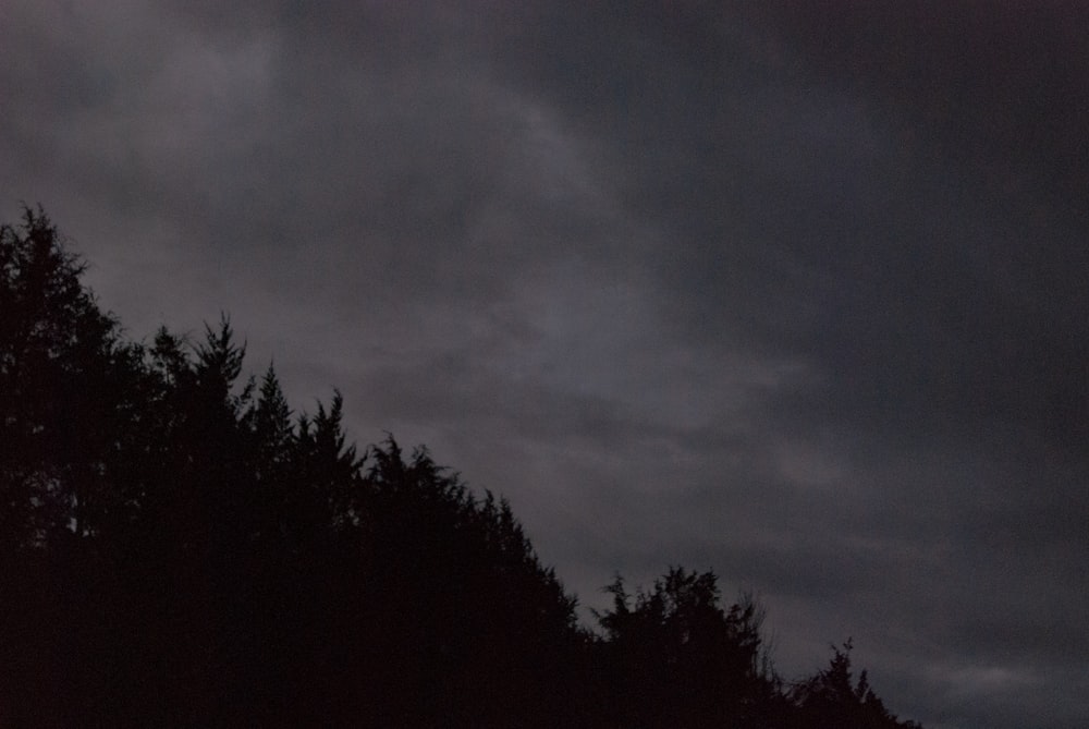 a dark sky with some clouds and trees