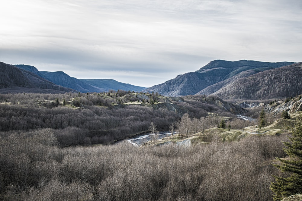 a view of a valley with a river running through it