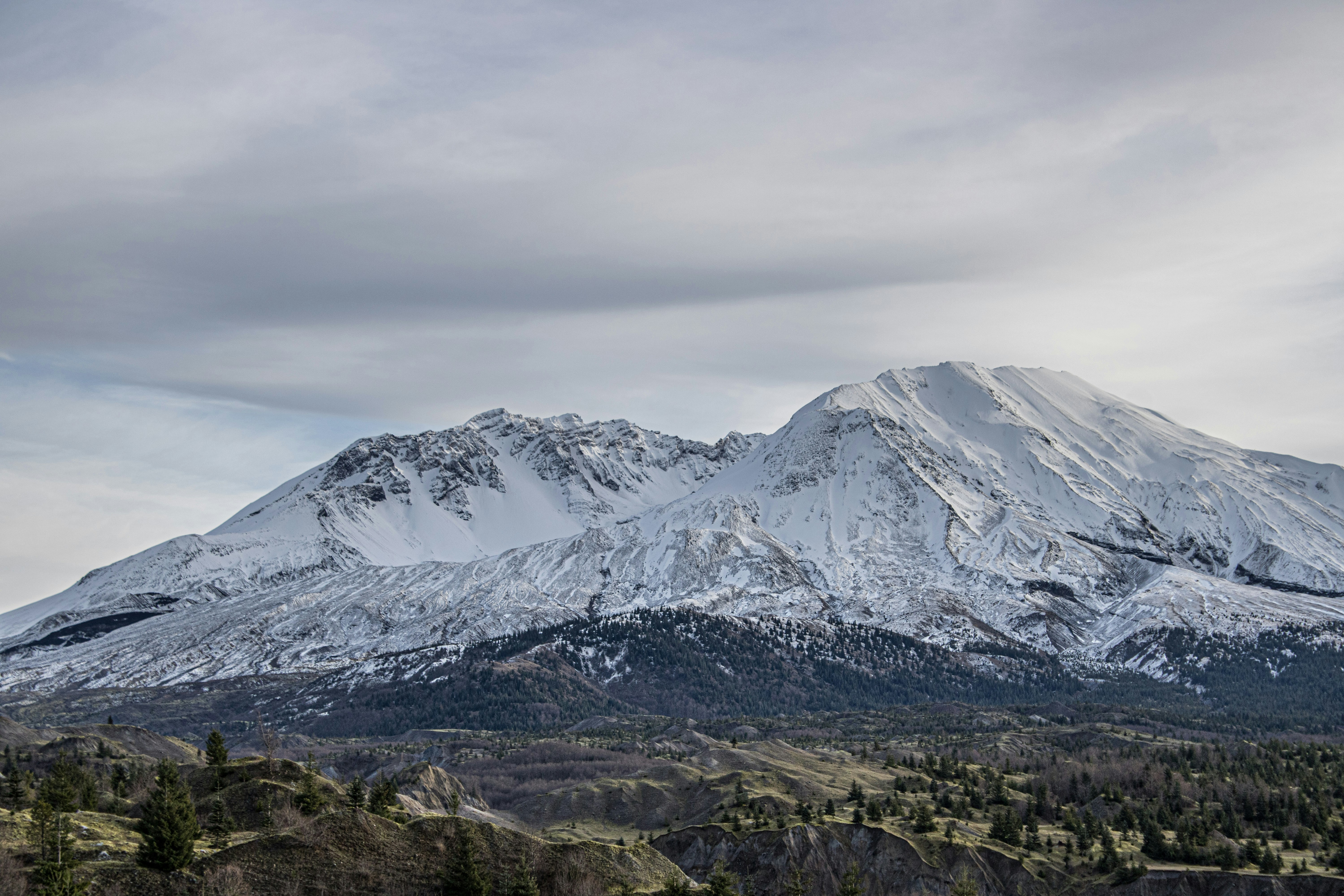 Photo by prphotography262