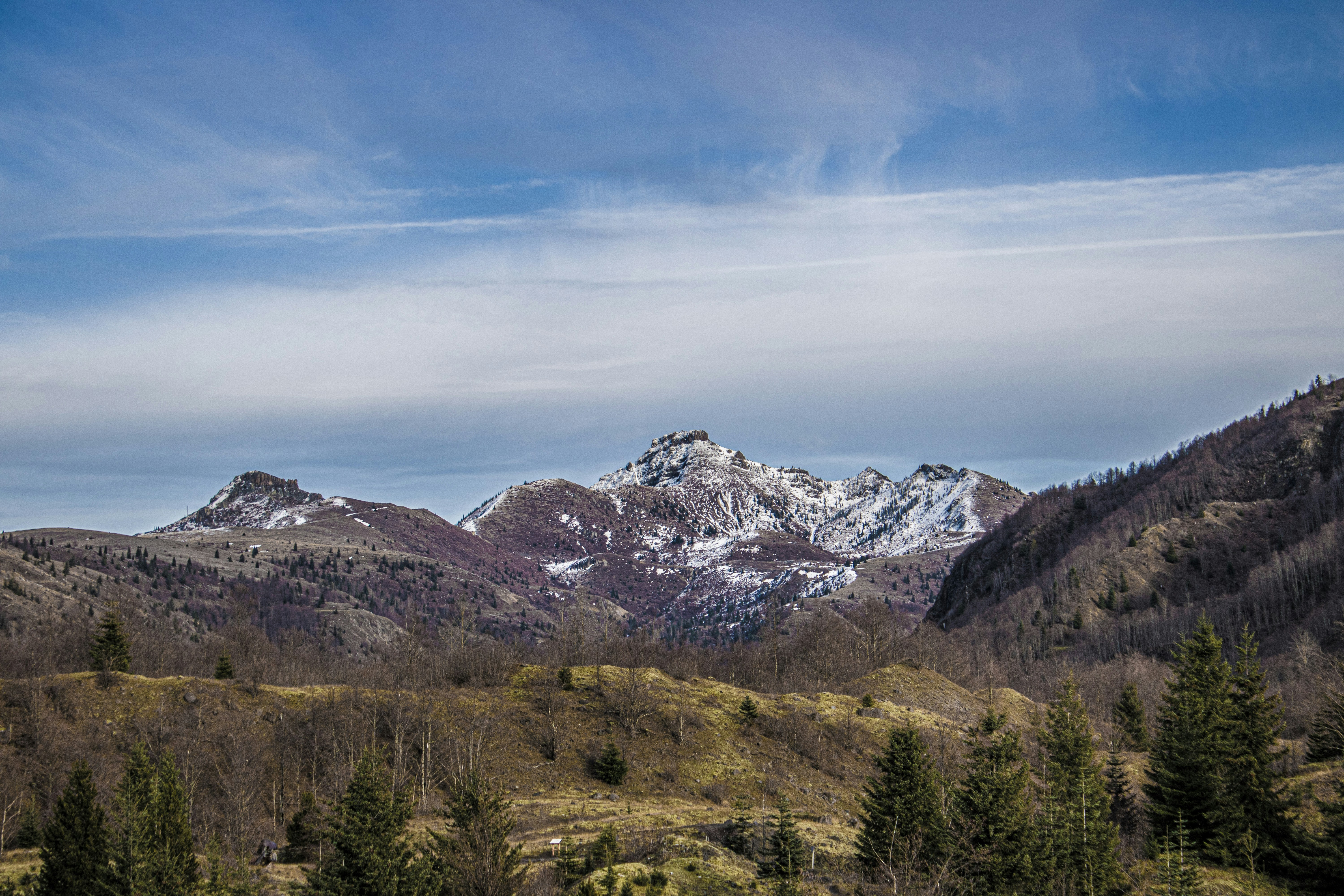 Photo by prphotography262