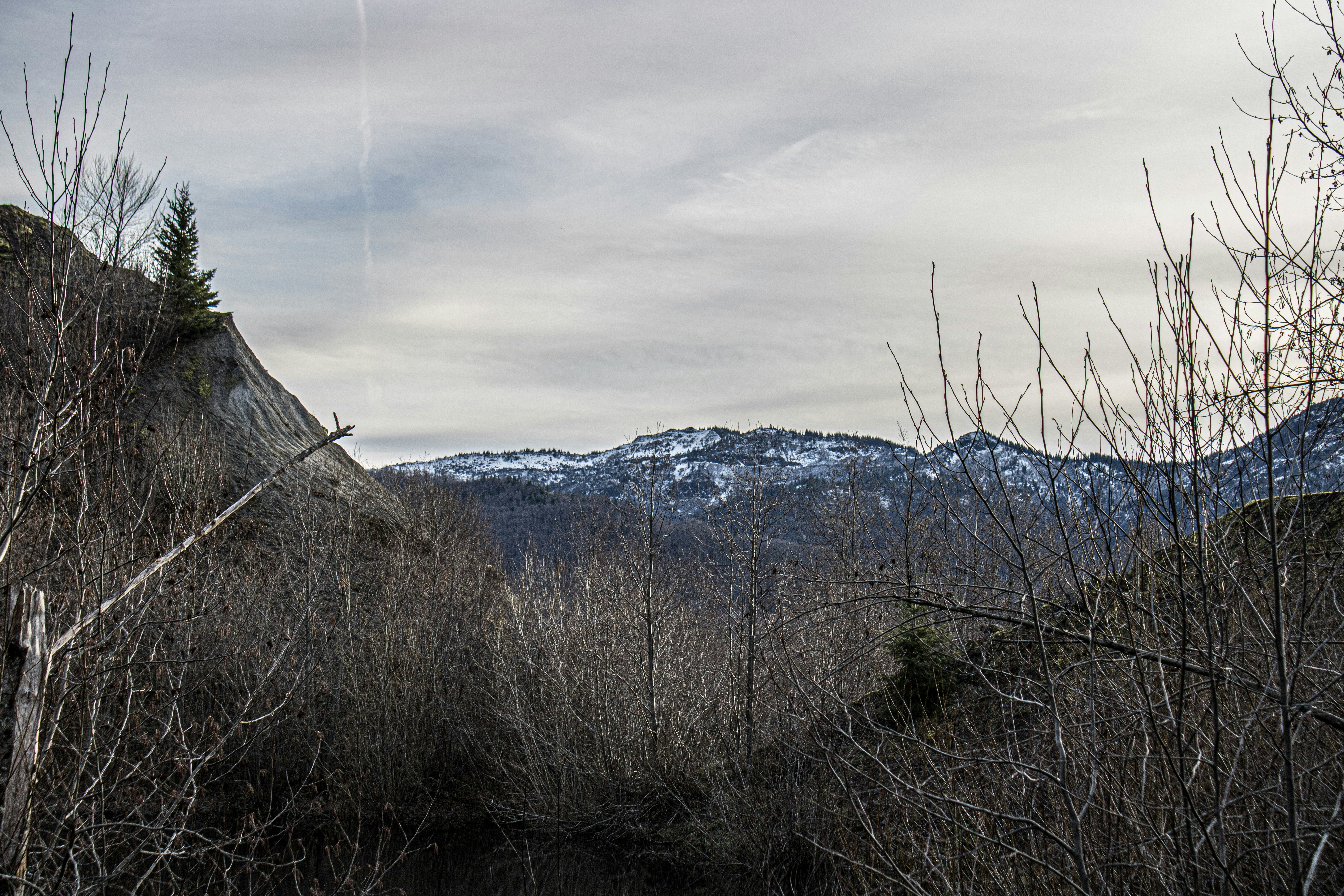 une vue d’une chaîne de montagnes depuis une zone boisée