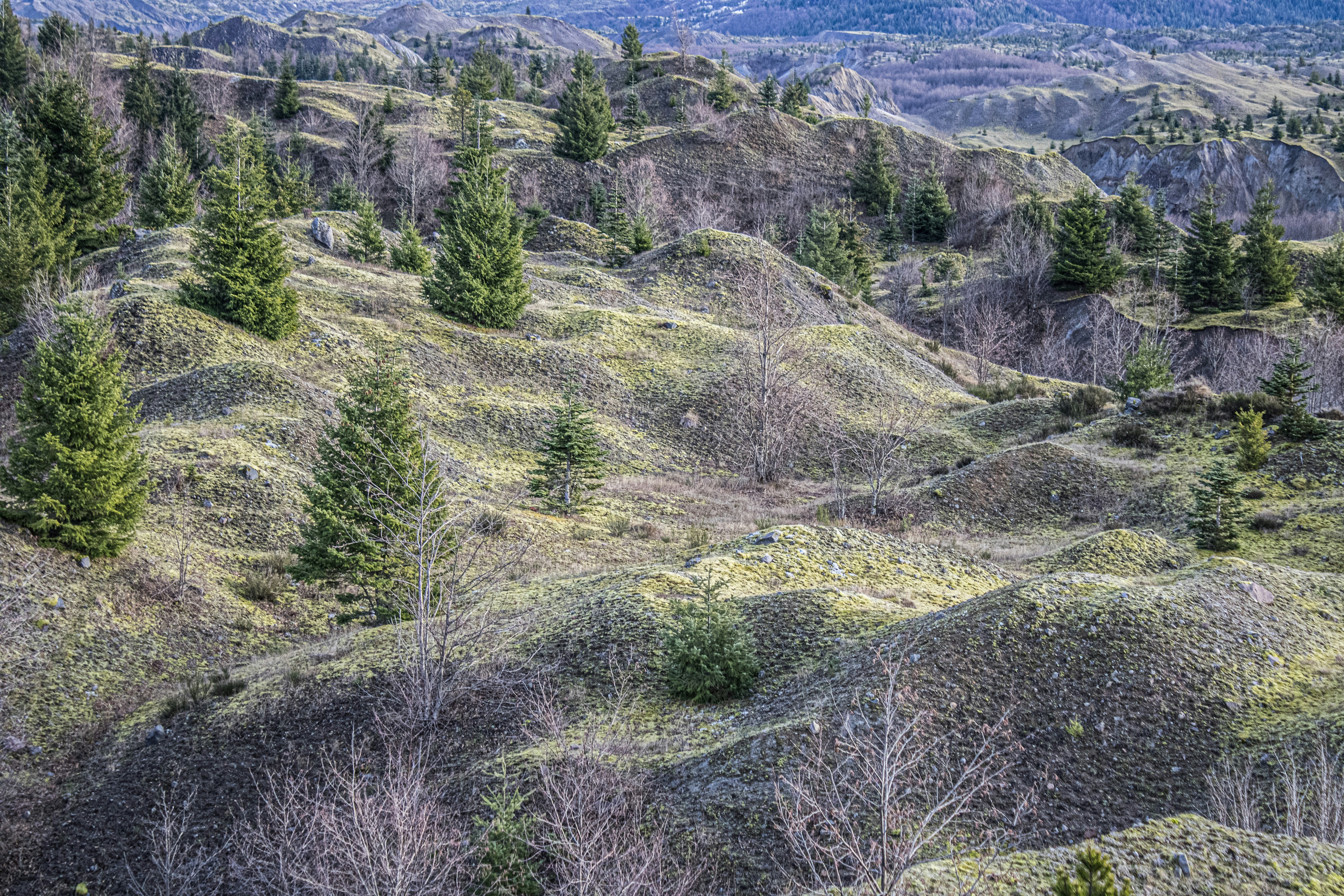 Photo by prphotography262