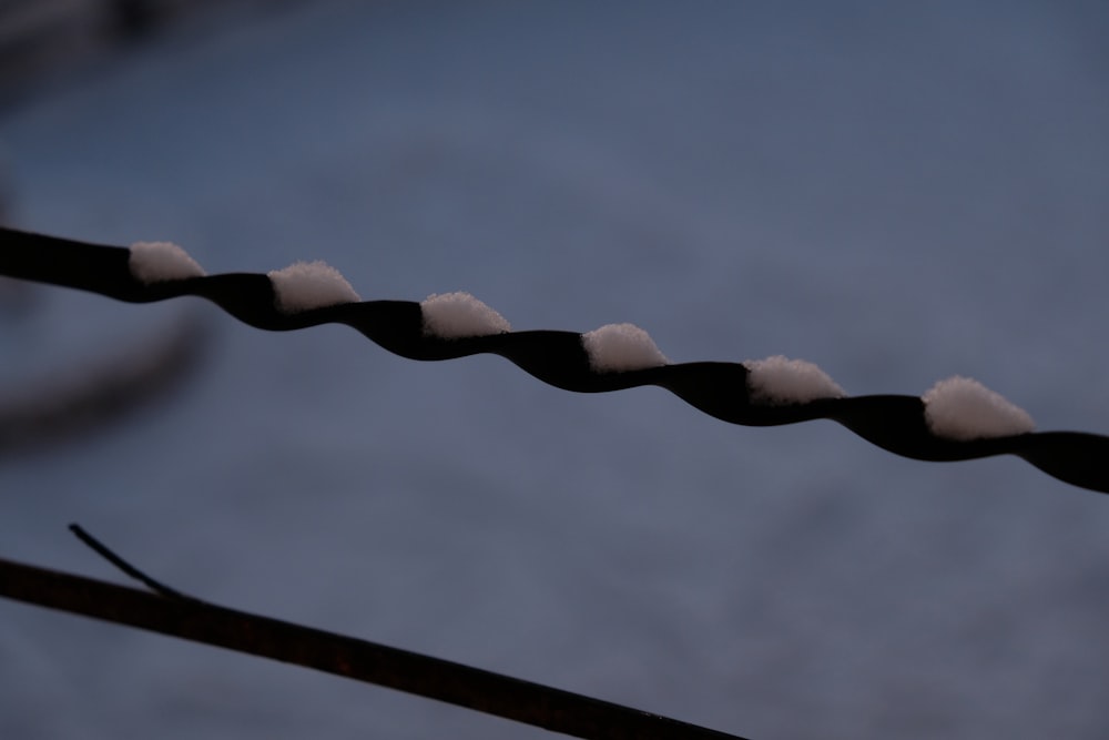 a close up of a wire with snow on it