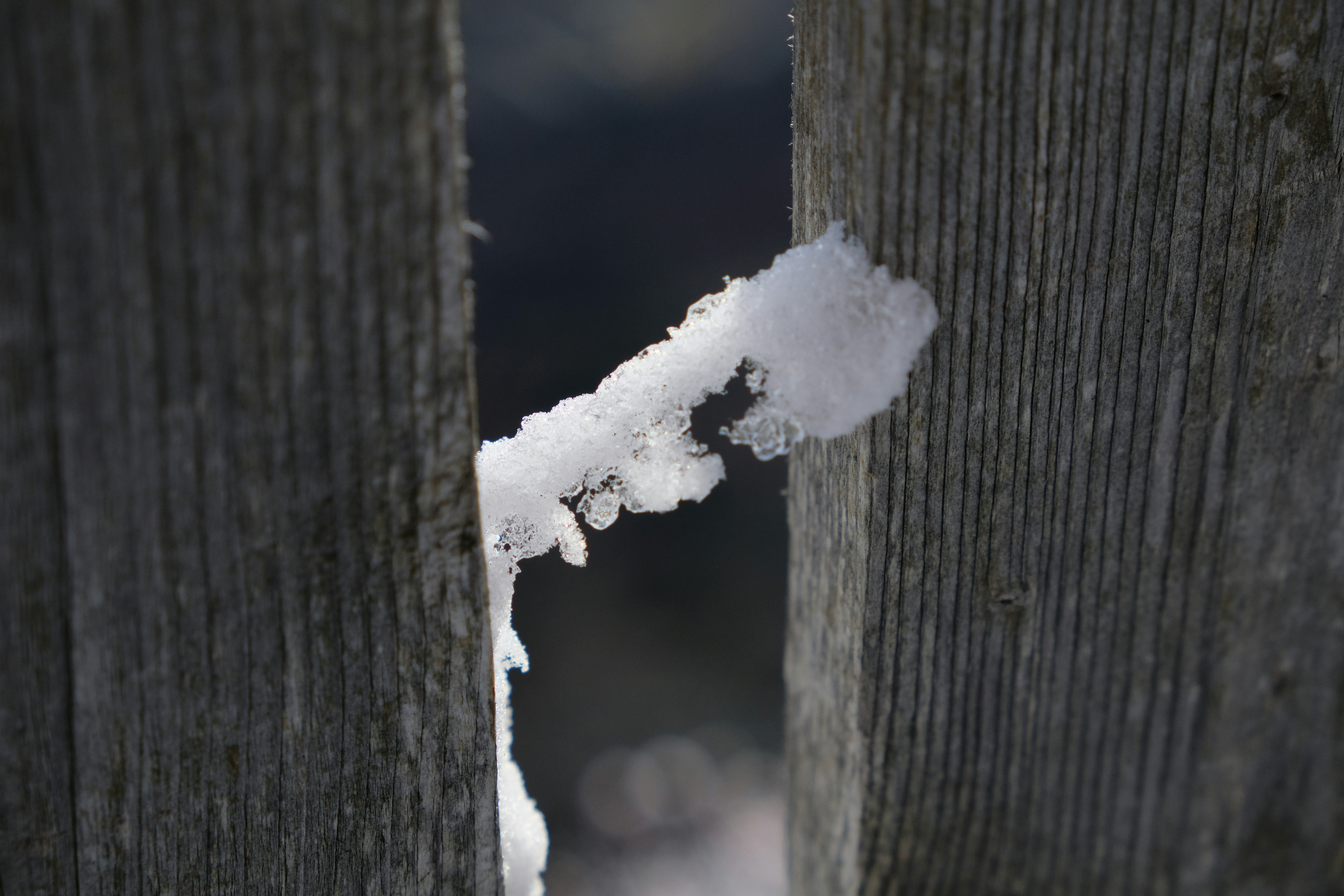 Photo by zeroquattroart