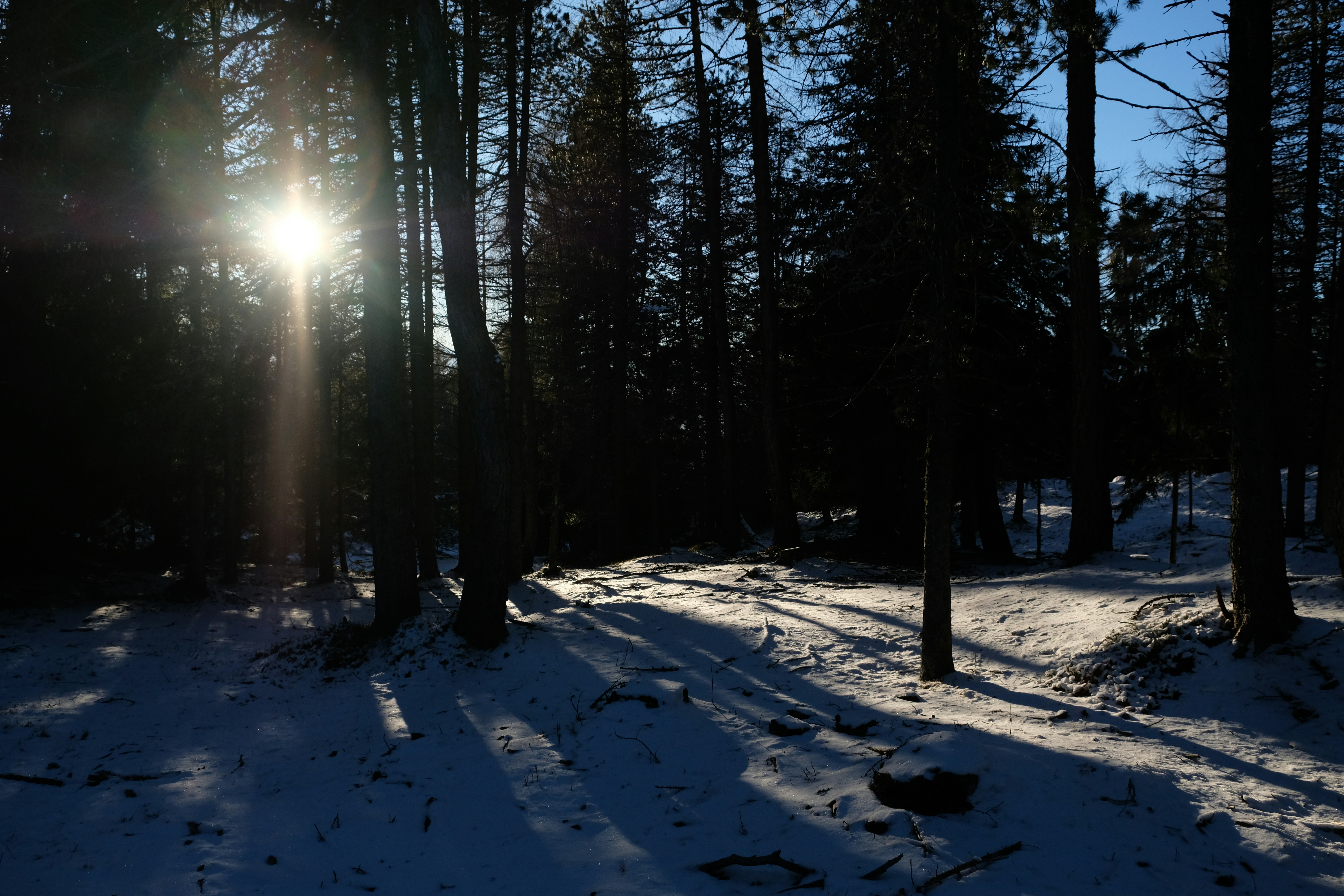 Photo by zeroquattroart