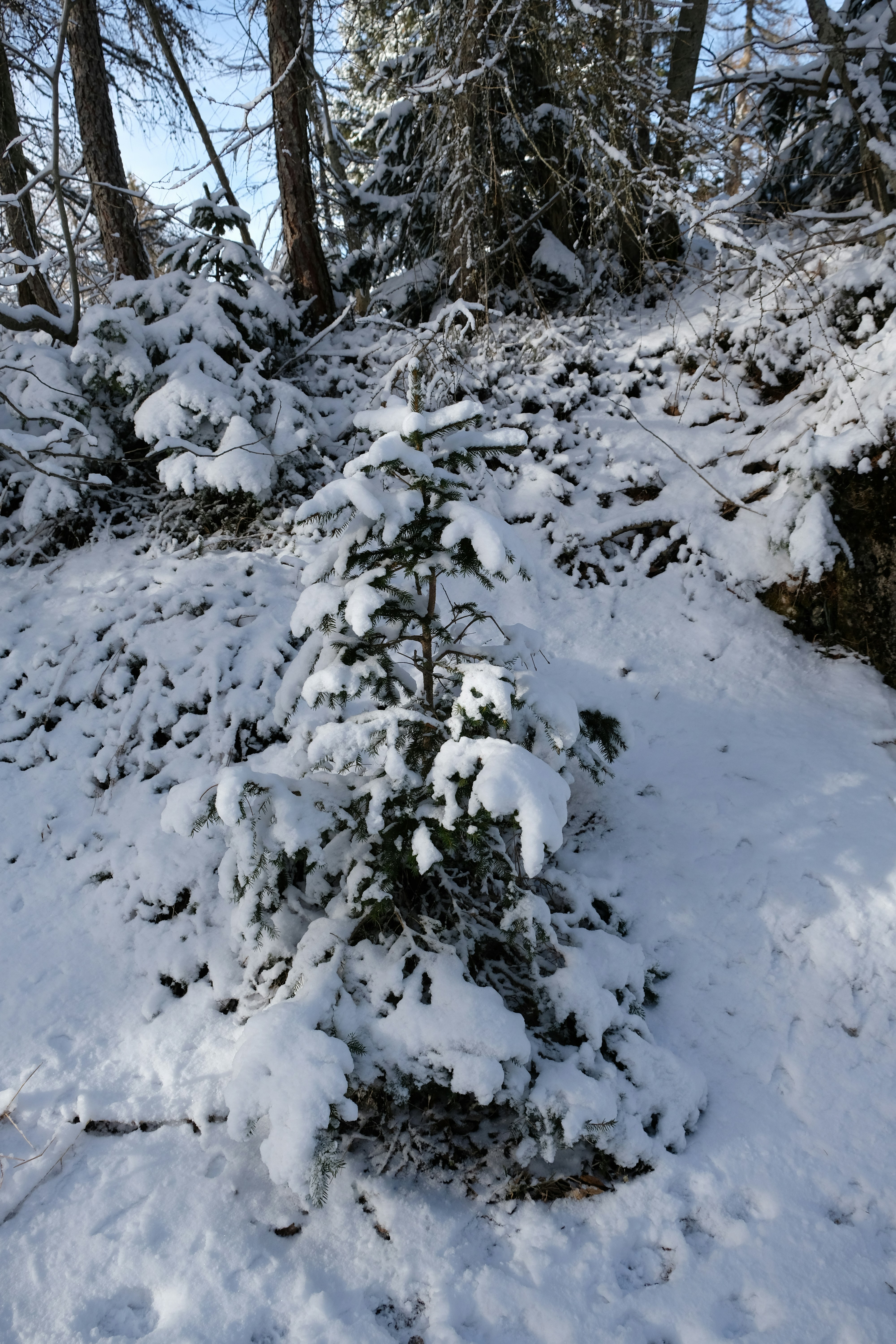 Photo by zeroquattroart