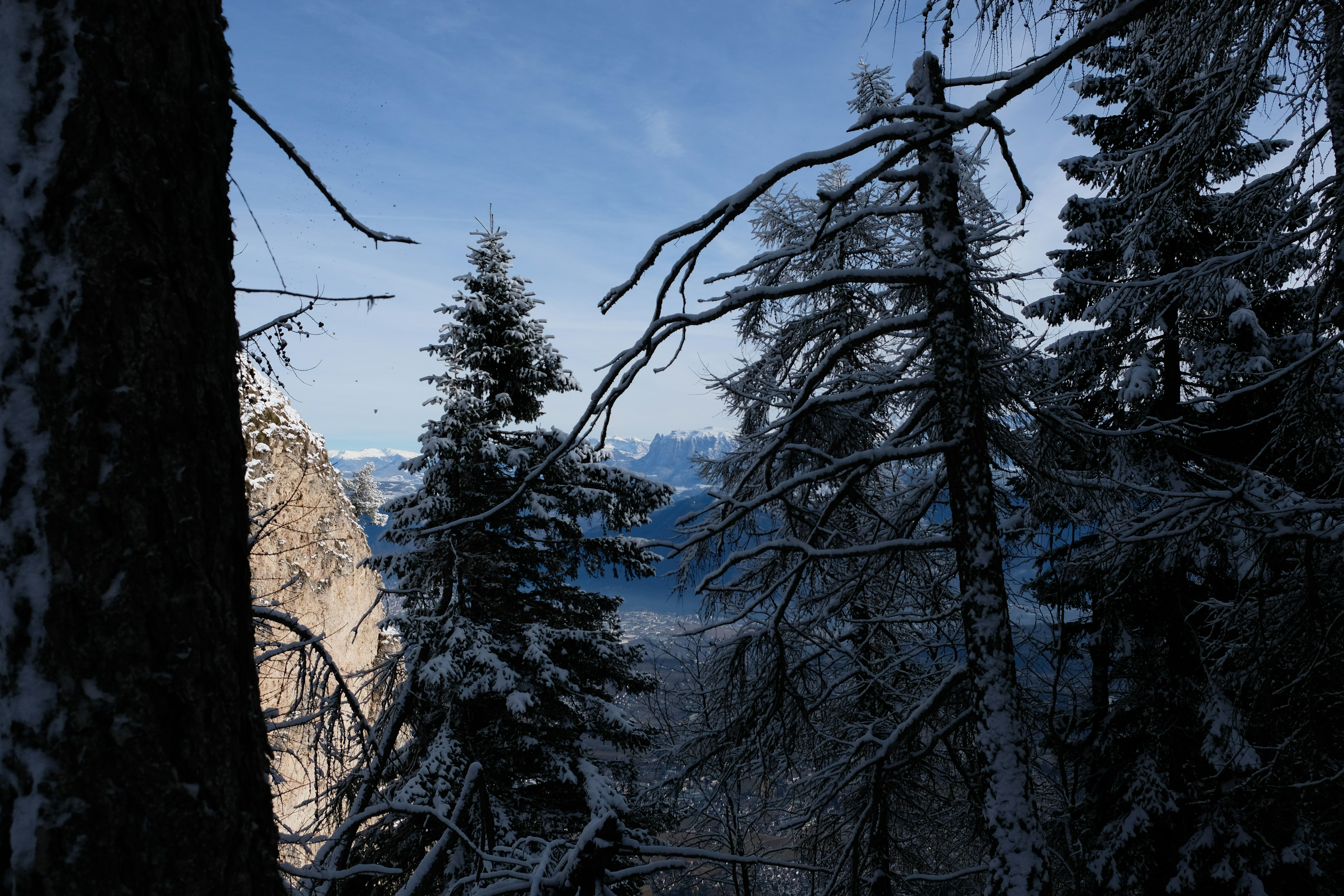 Photo by zeroquattroart