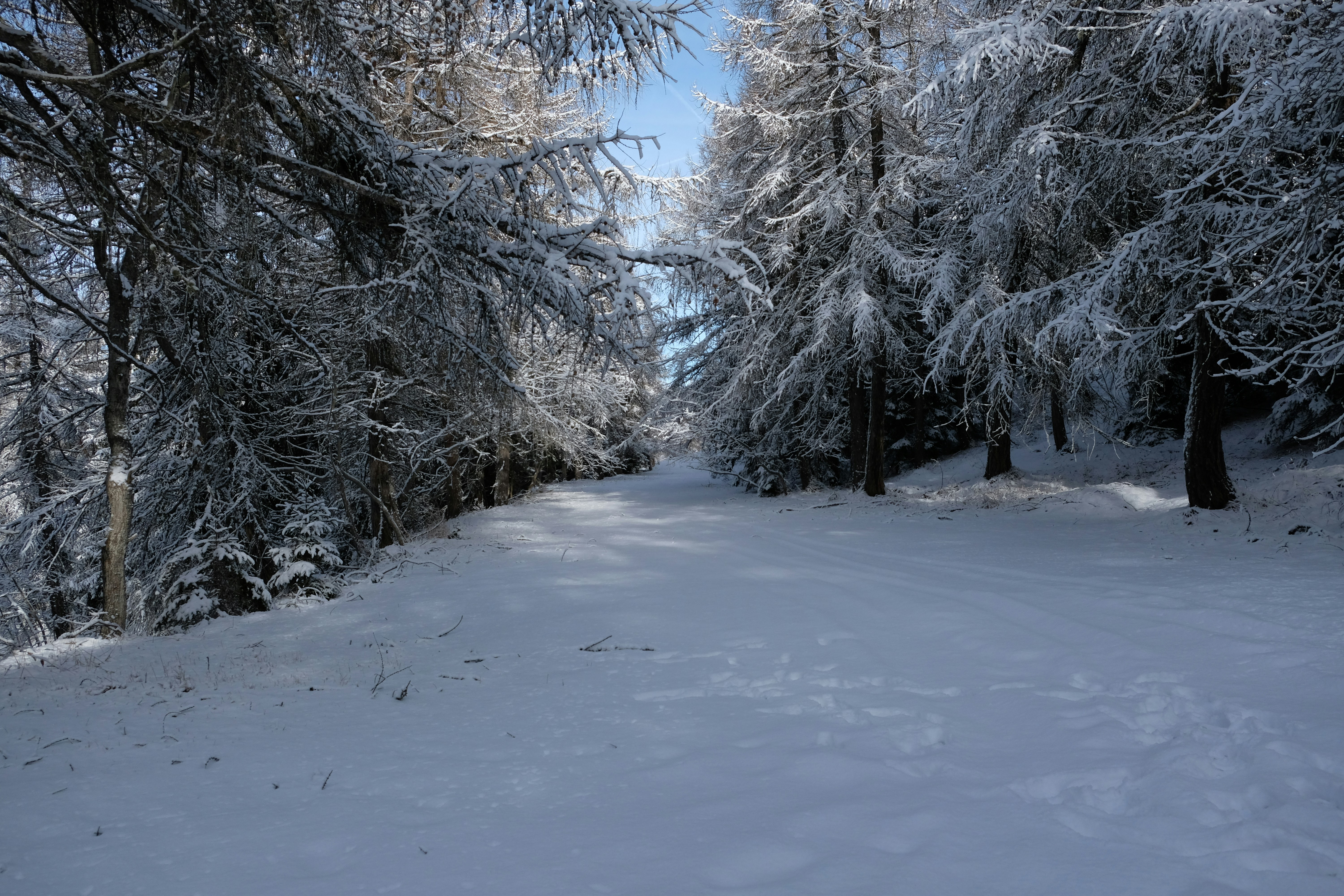 Photo by zeroquattroart