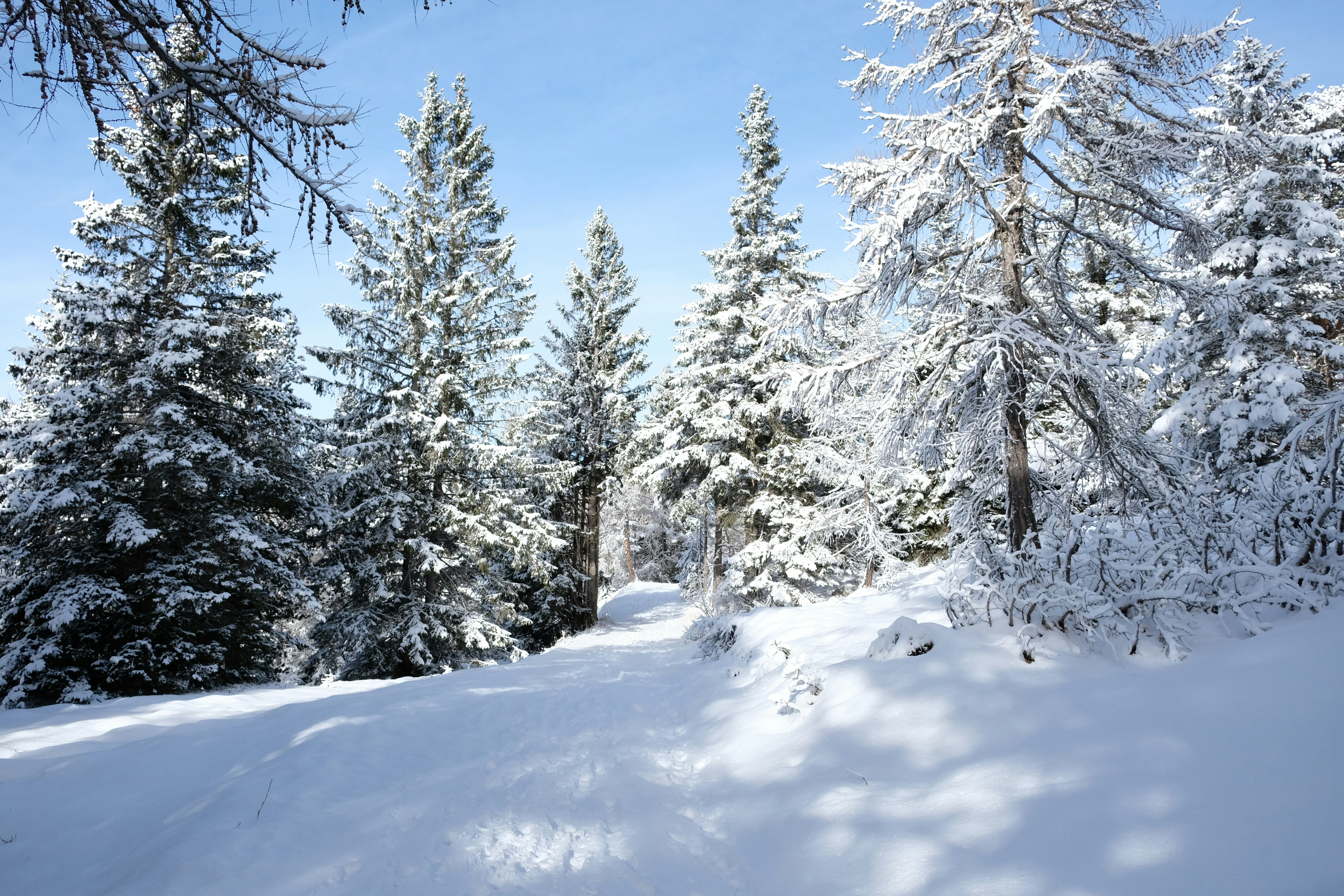 Photo by zeroquattroart