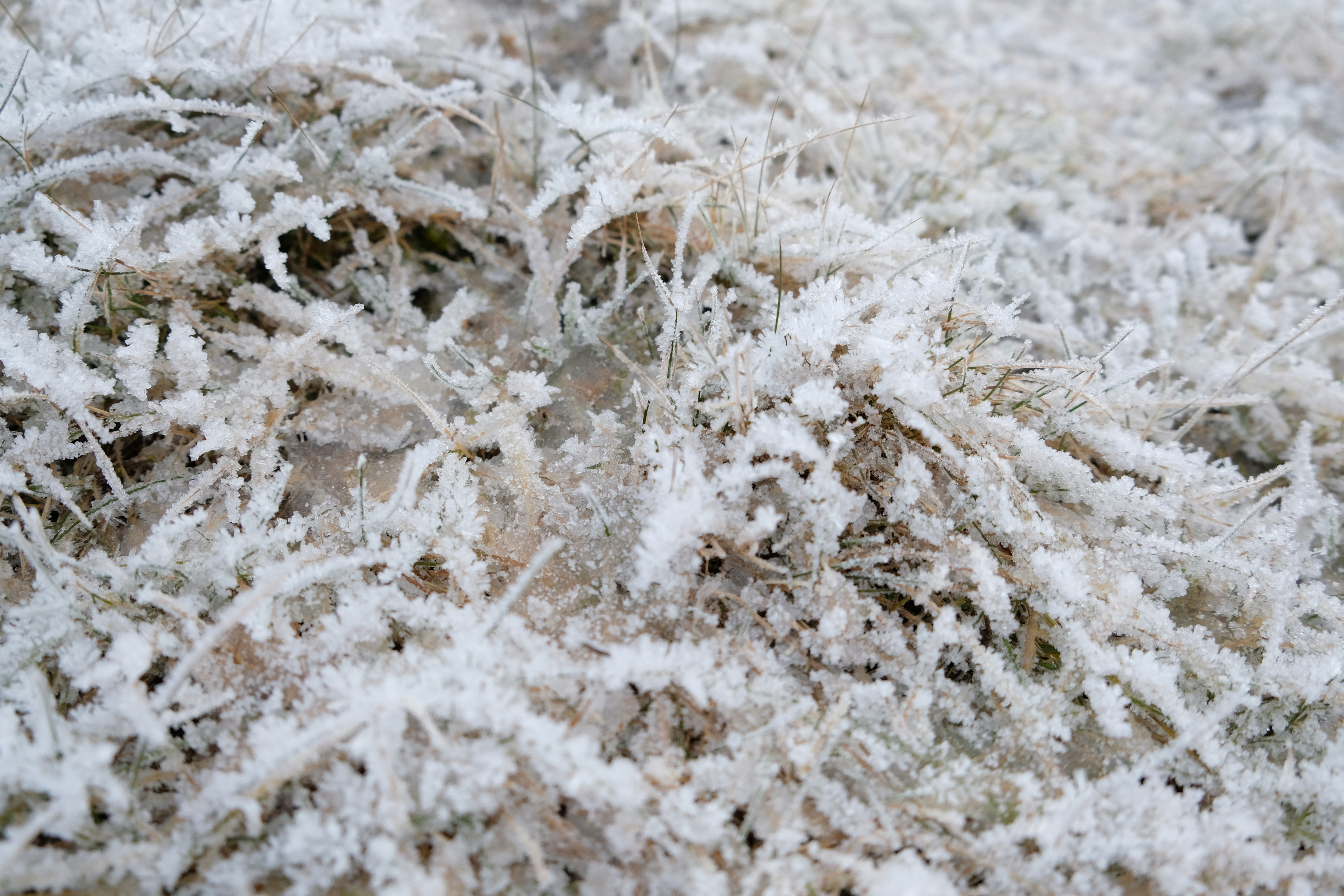 Photo by zeroquattroart