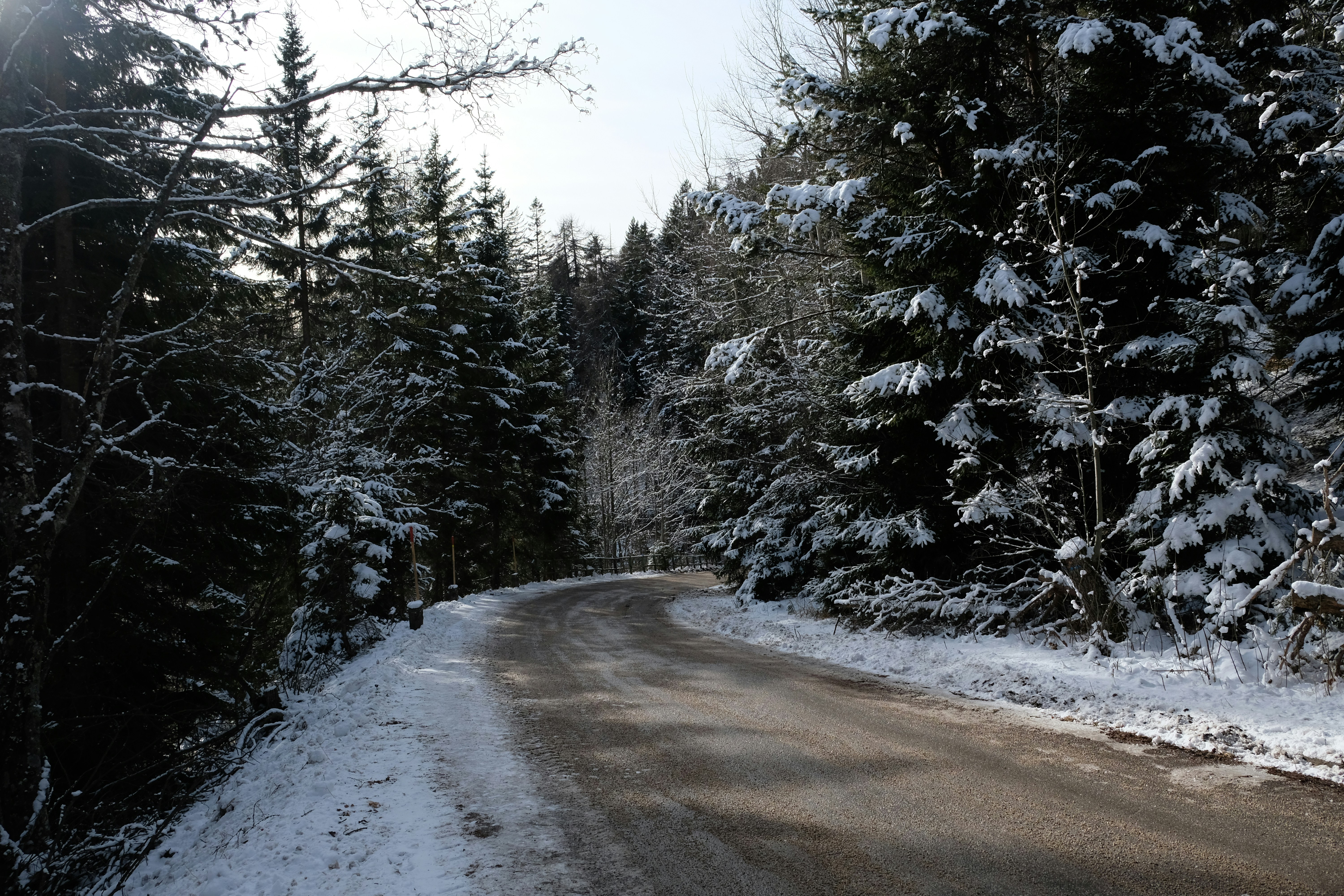 Photo by zeroquattroart