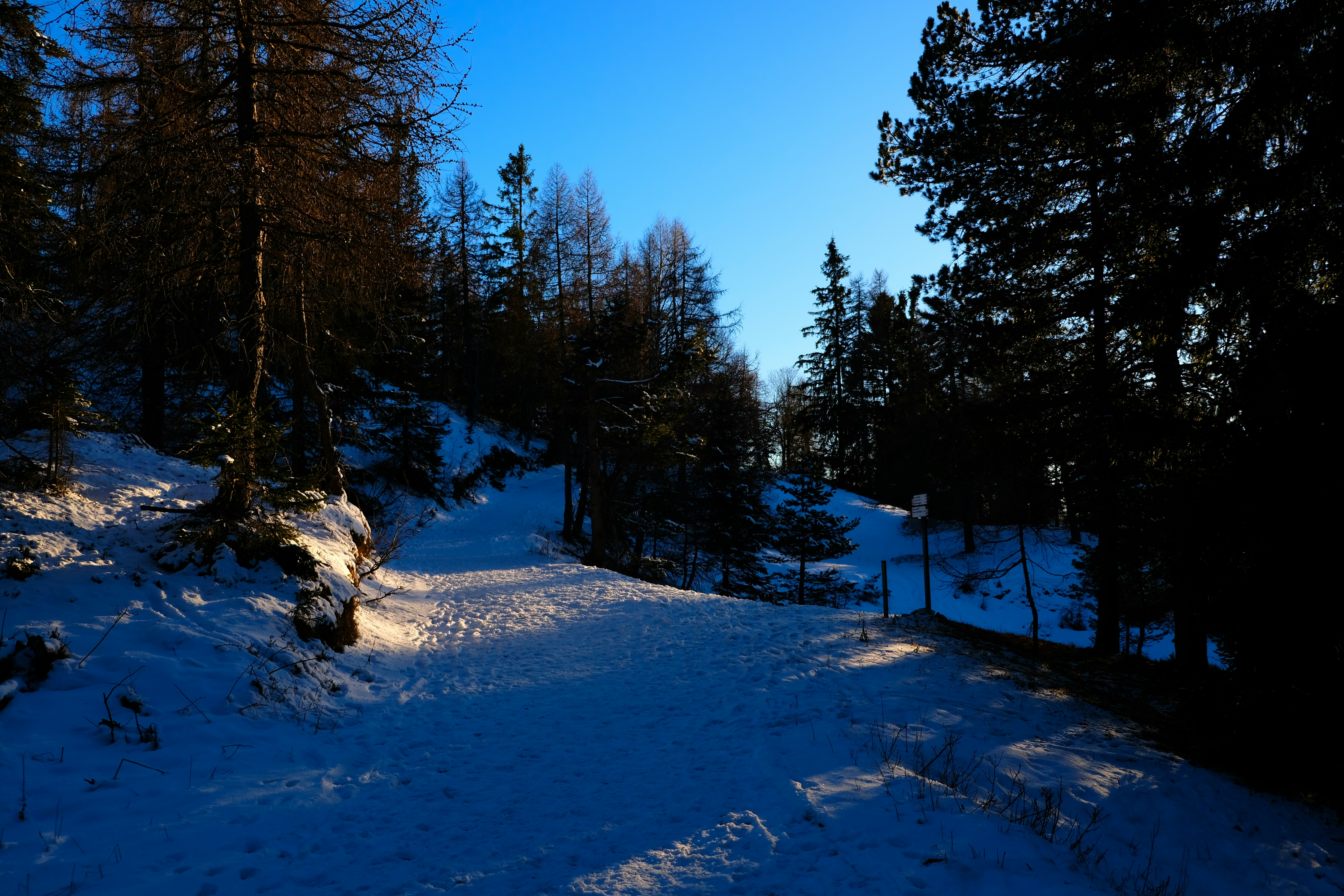 Photo by zeroquattroart