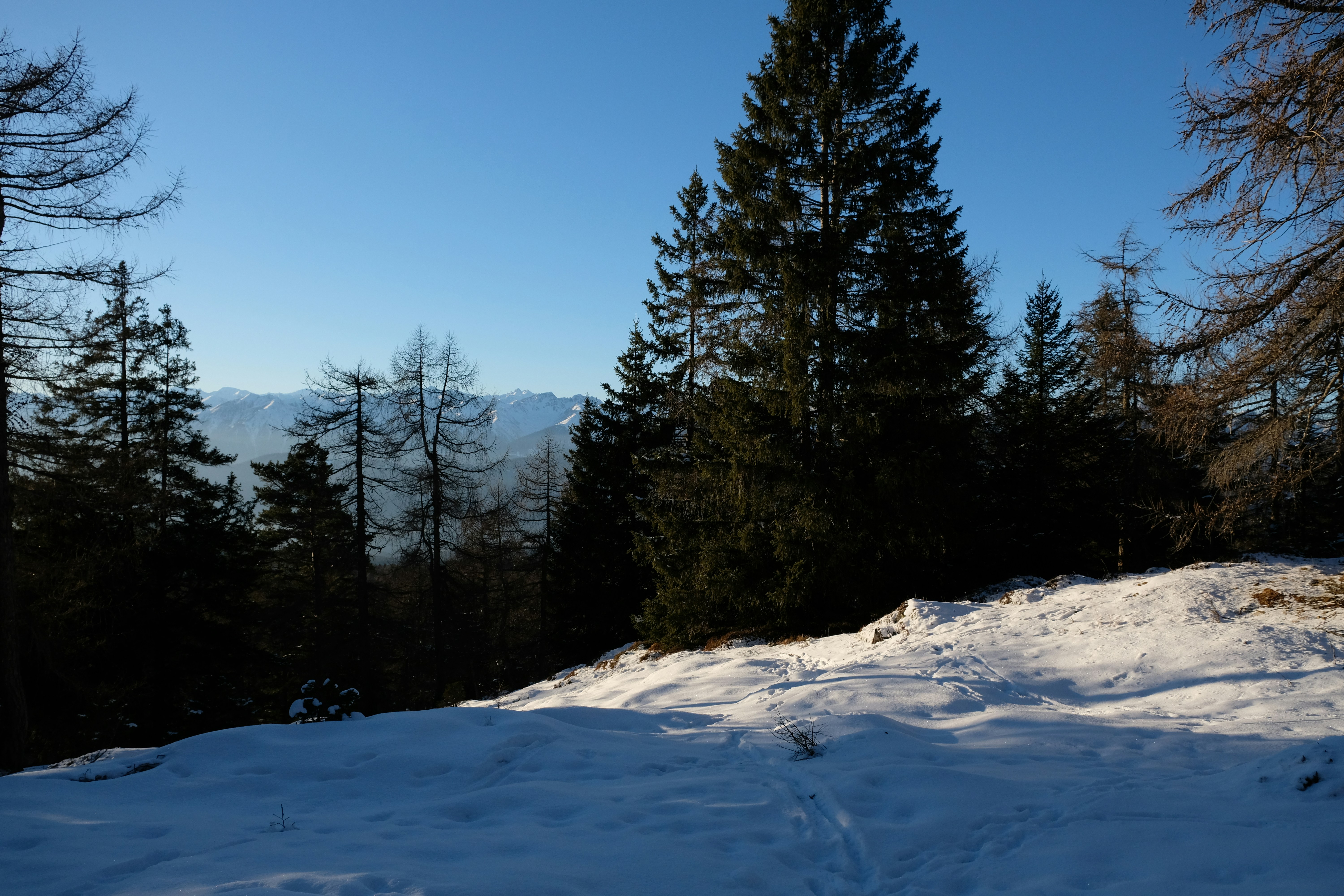 Photo by zeroquattroart