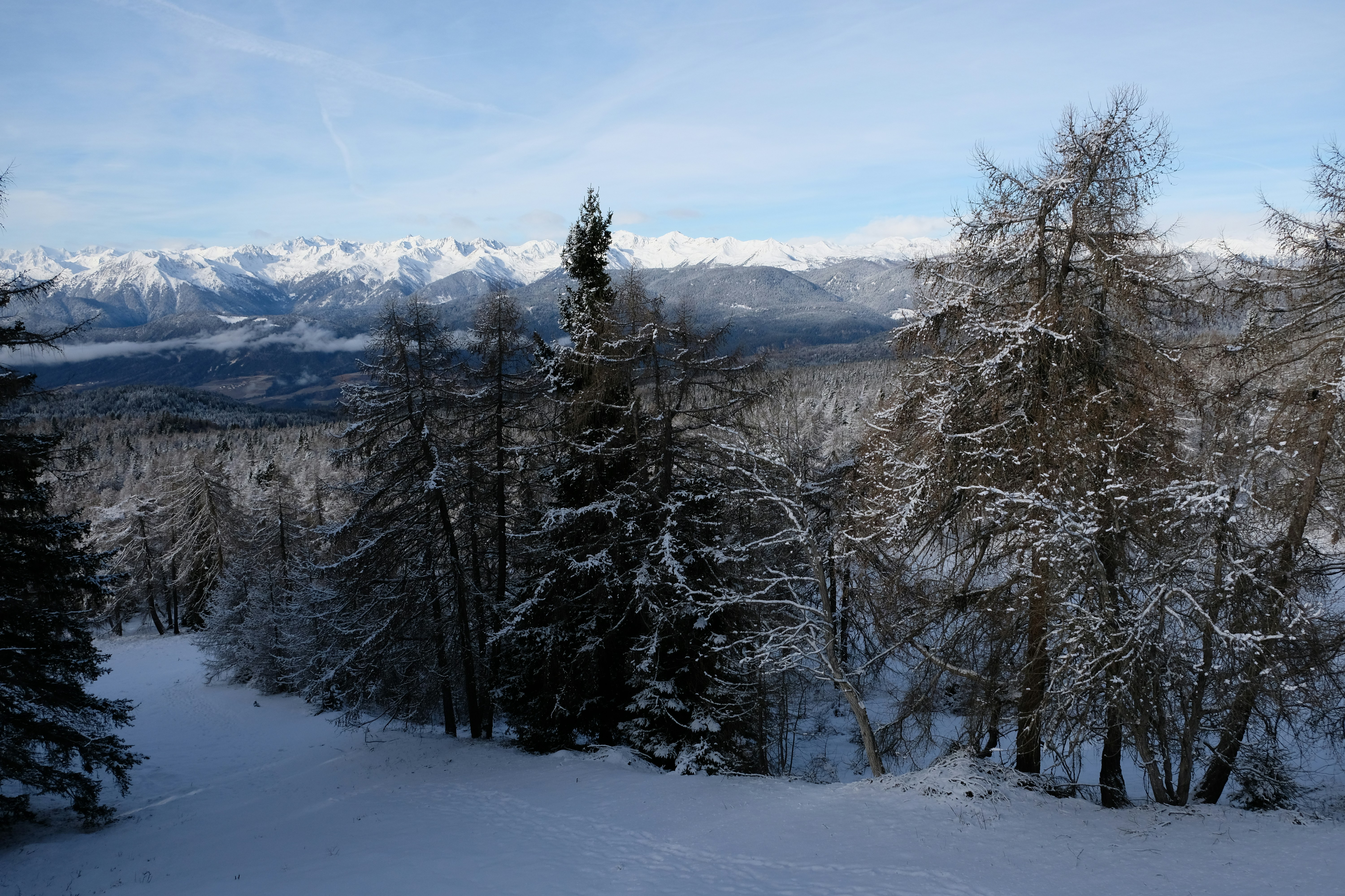 Photo by zeroquattroart