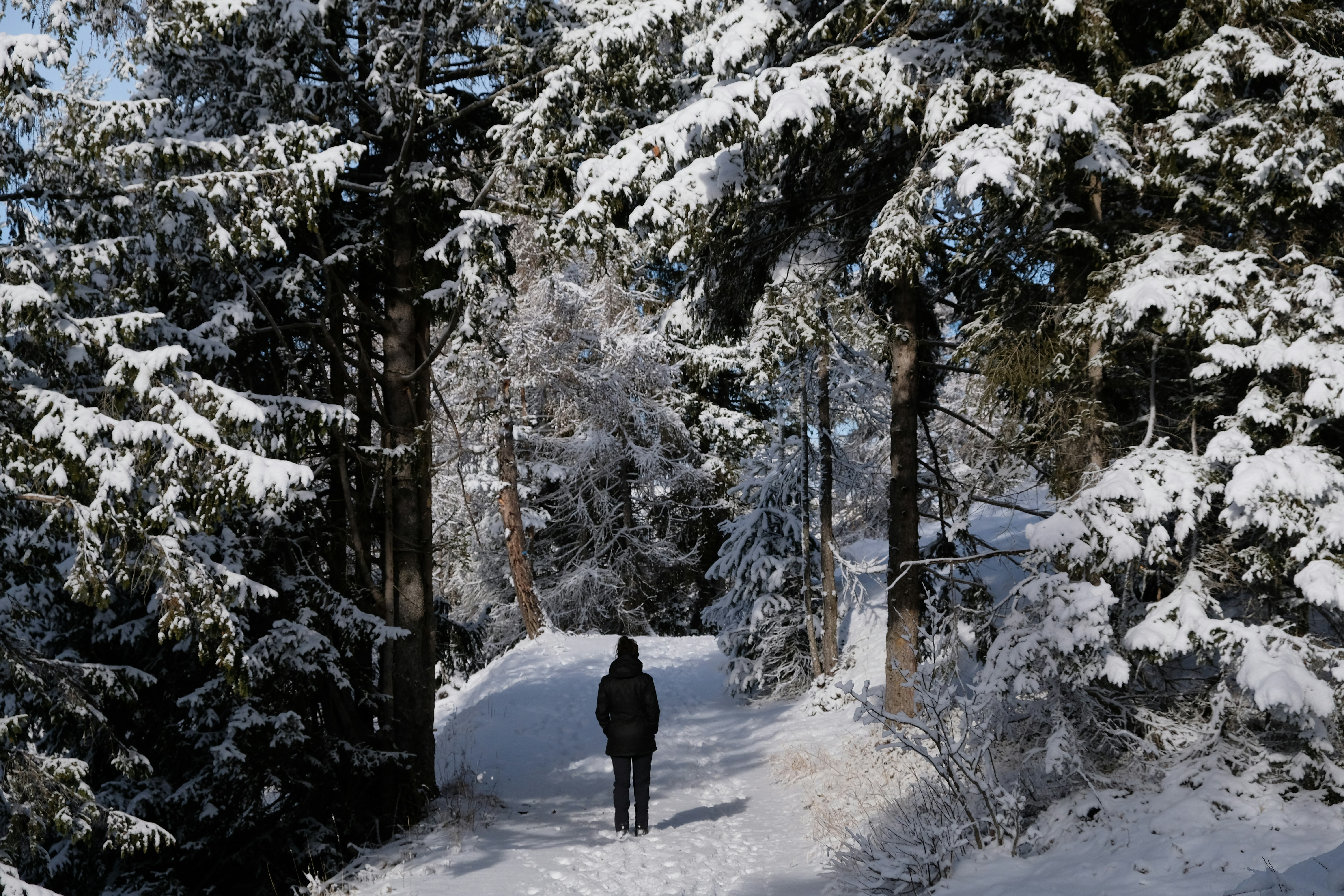 Photo by zeroquattroart