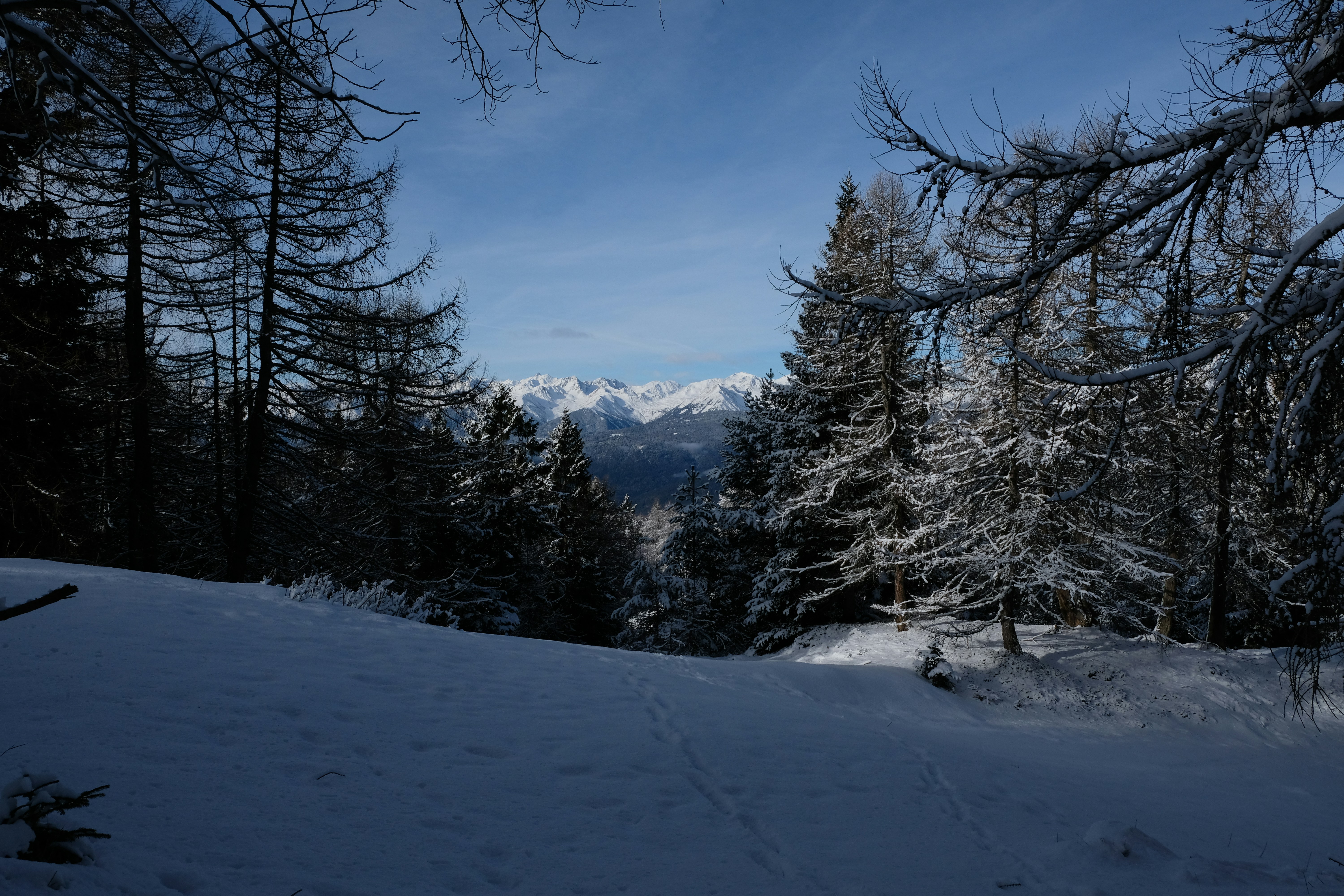 a snow covered hill with trees and mountains in the background
