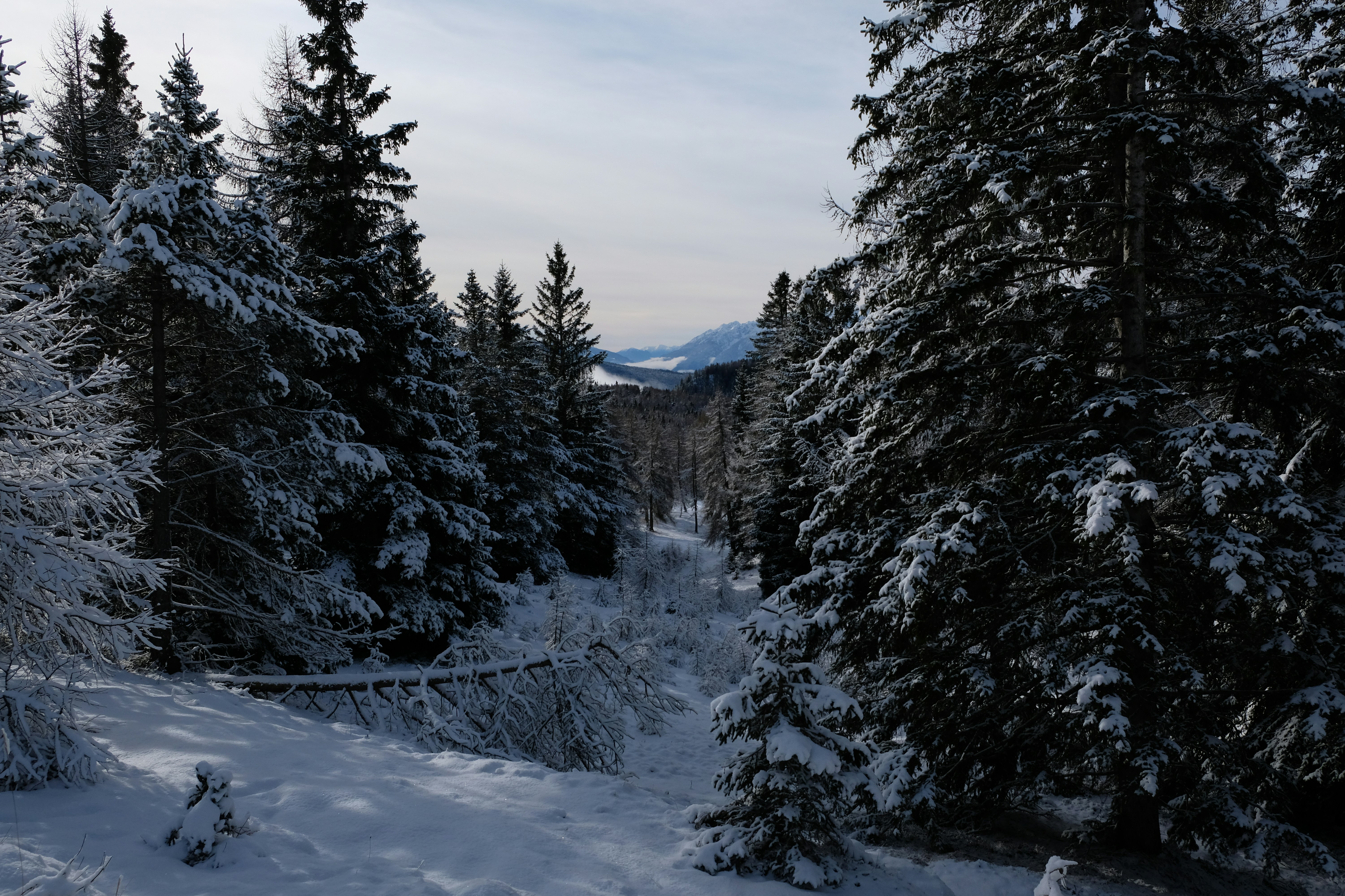 Photo by zeroquattroart