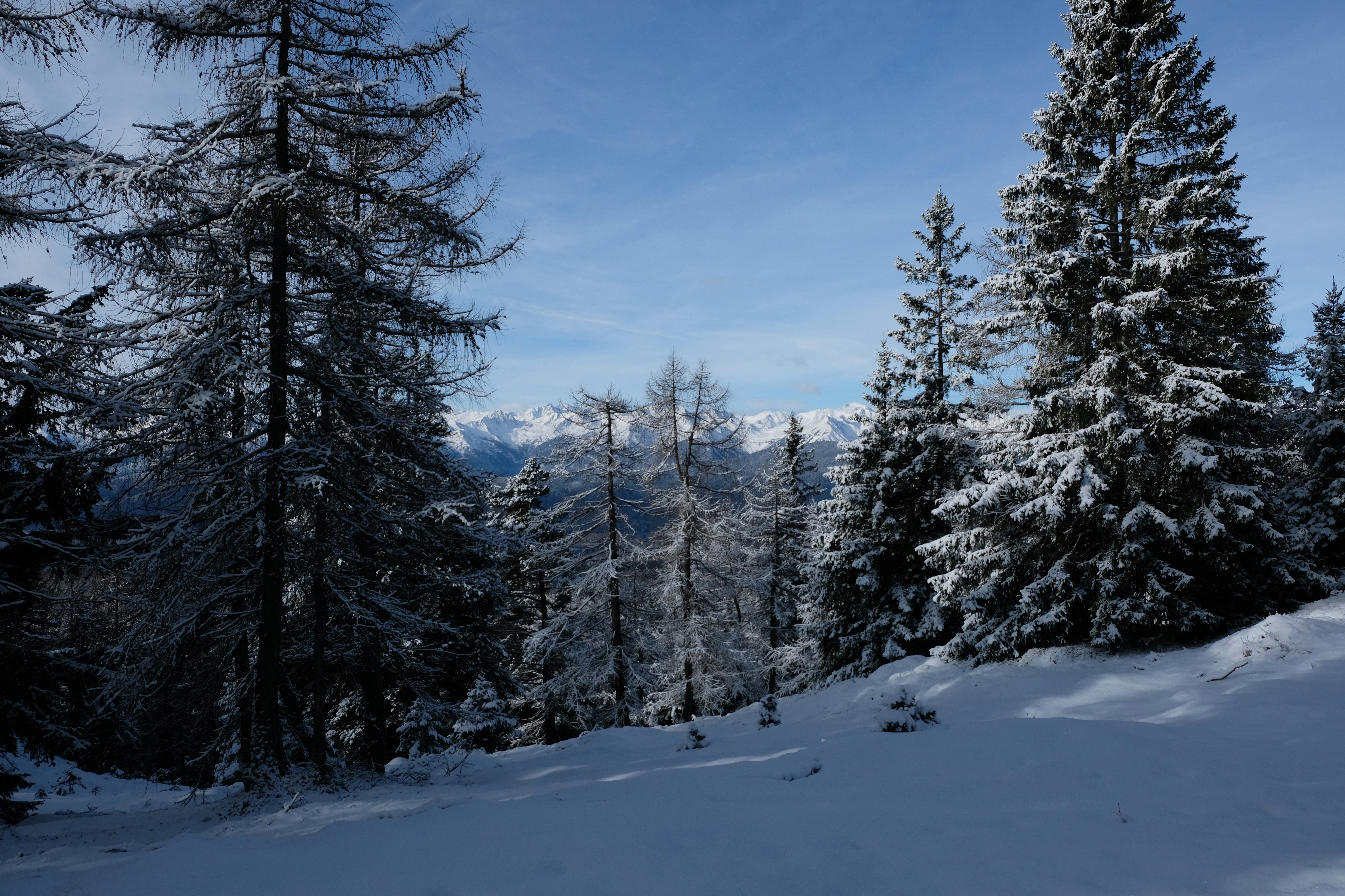 Photo by zeroquattroart