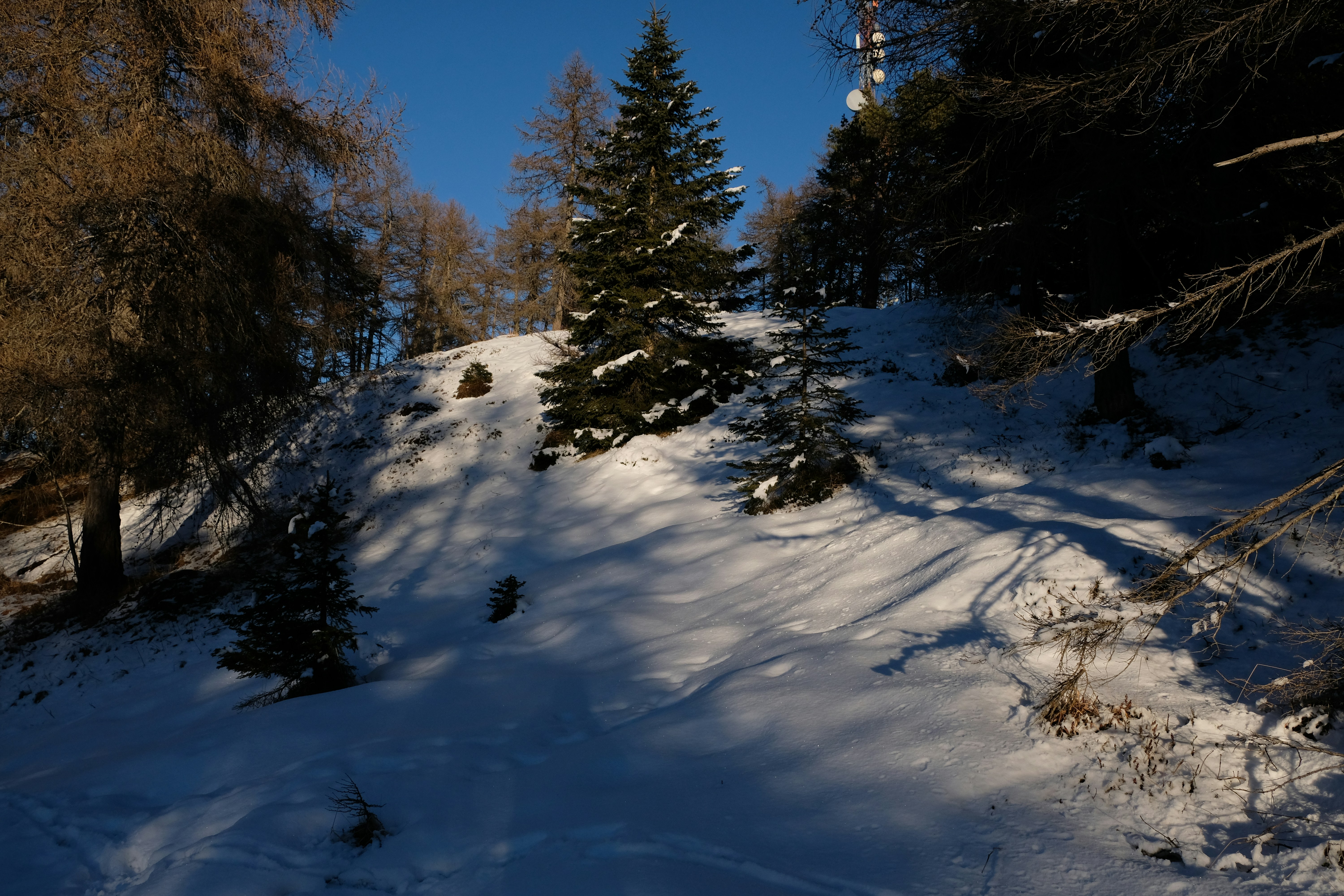 a snow covered hill with trees on the side