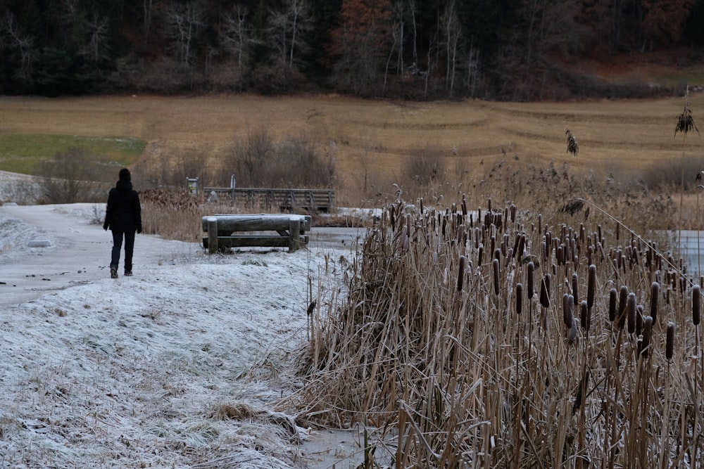 a person walking down a path in the snow