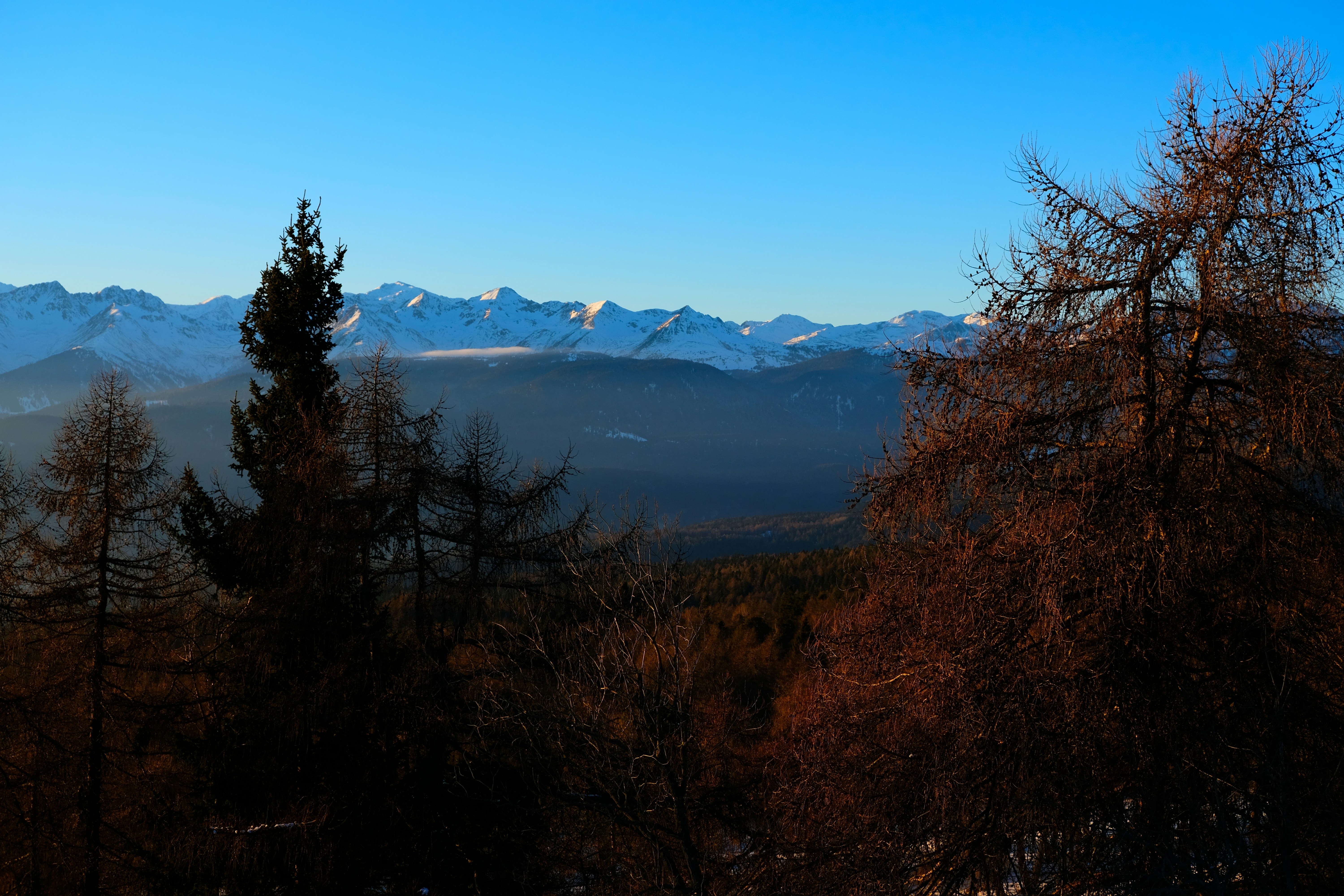 a view of a mountain range with trees in the foreground