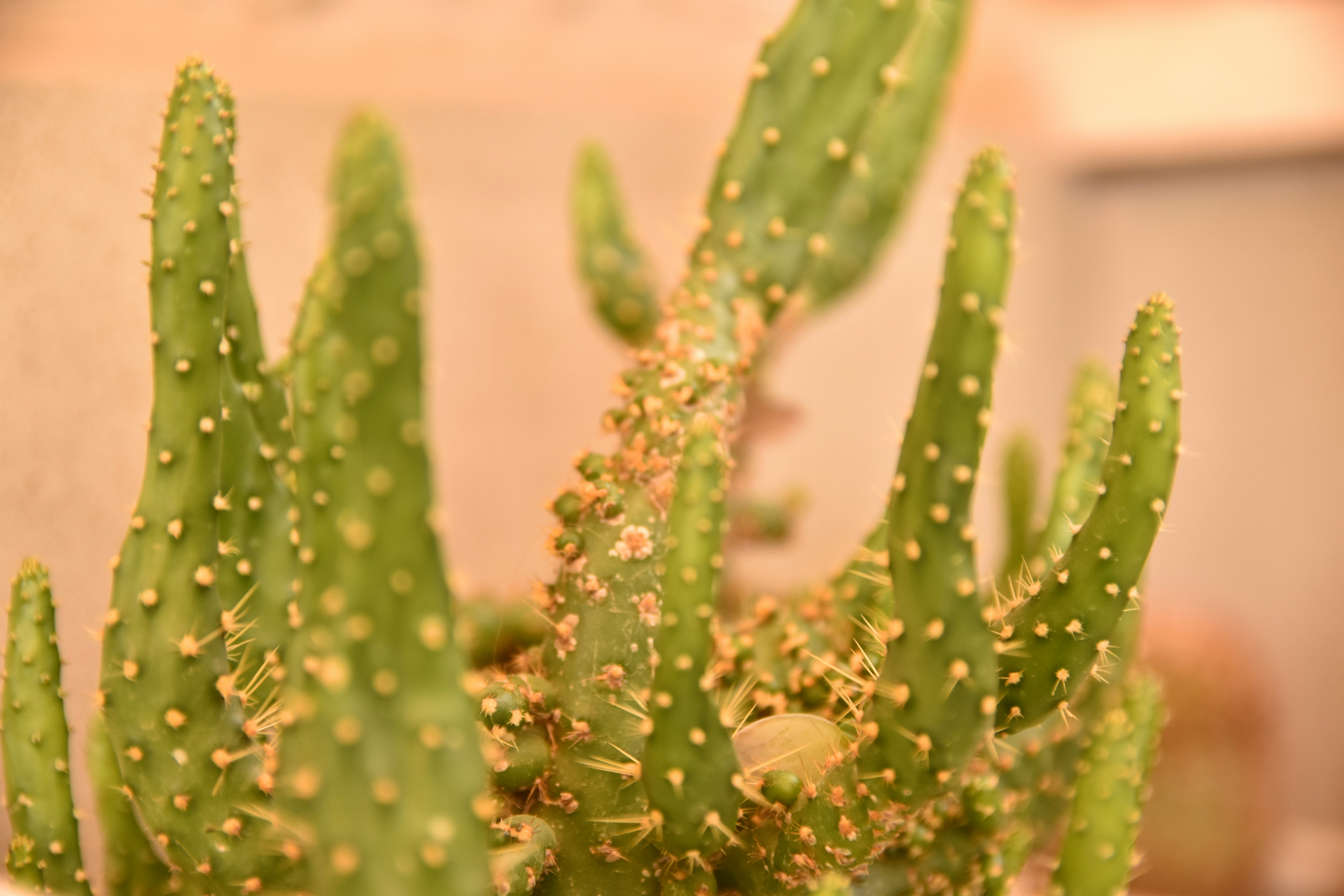 Photo by veronica_chalyj