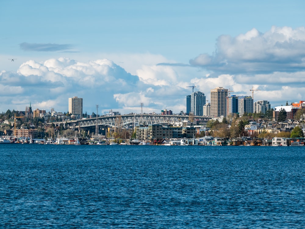 a large body of water with a city in the background