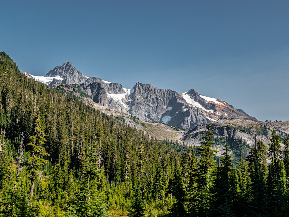 a view of a mountain range with trees in the foreground