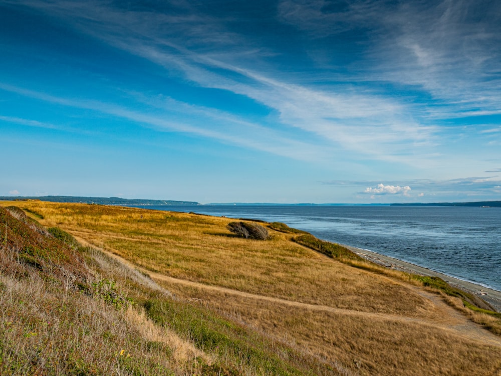 a grassy hill next to a body of water