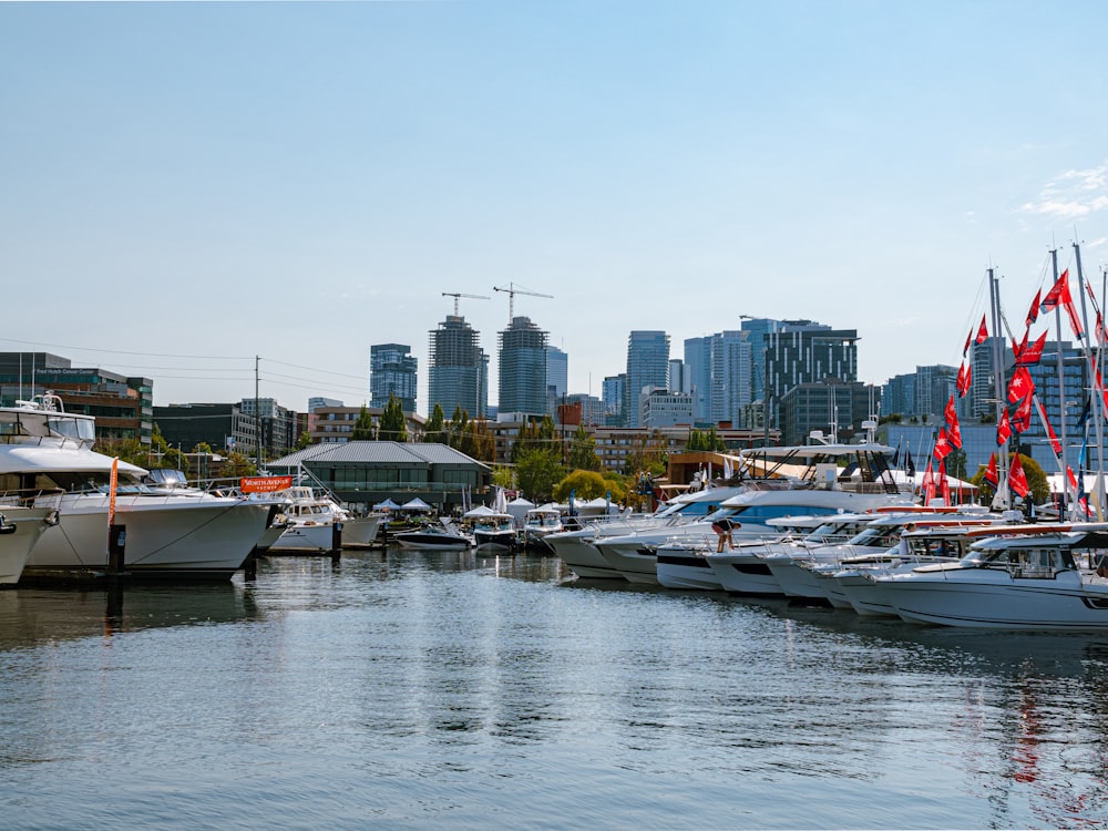 a group of boats are docked in a harbor