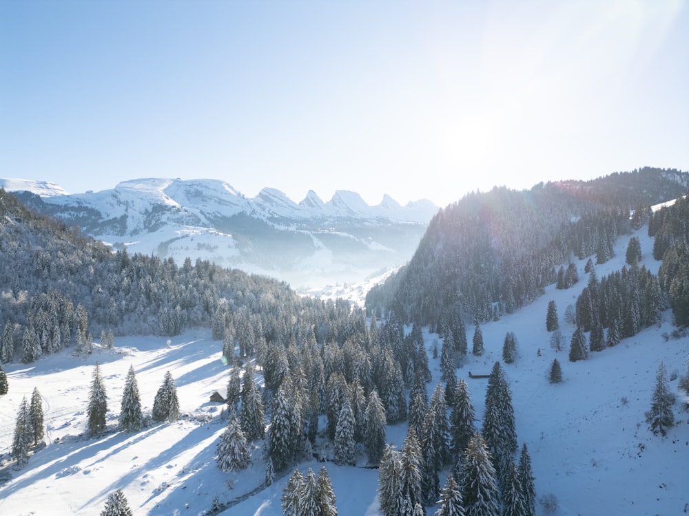 the sun is shining on a snowy mountain