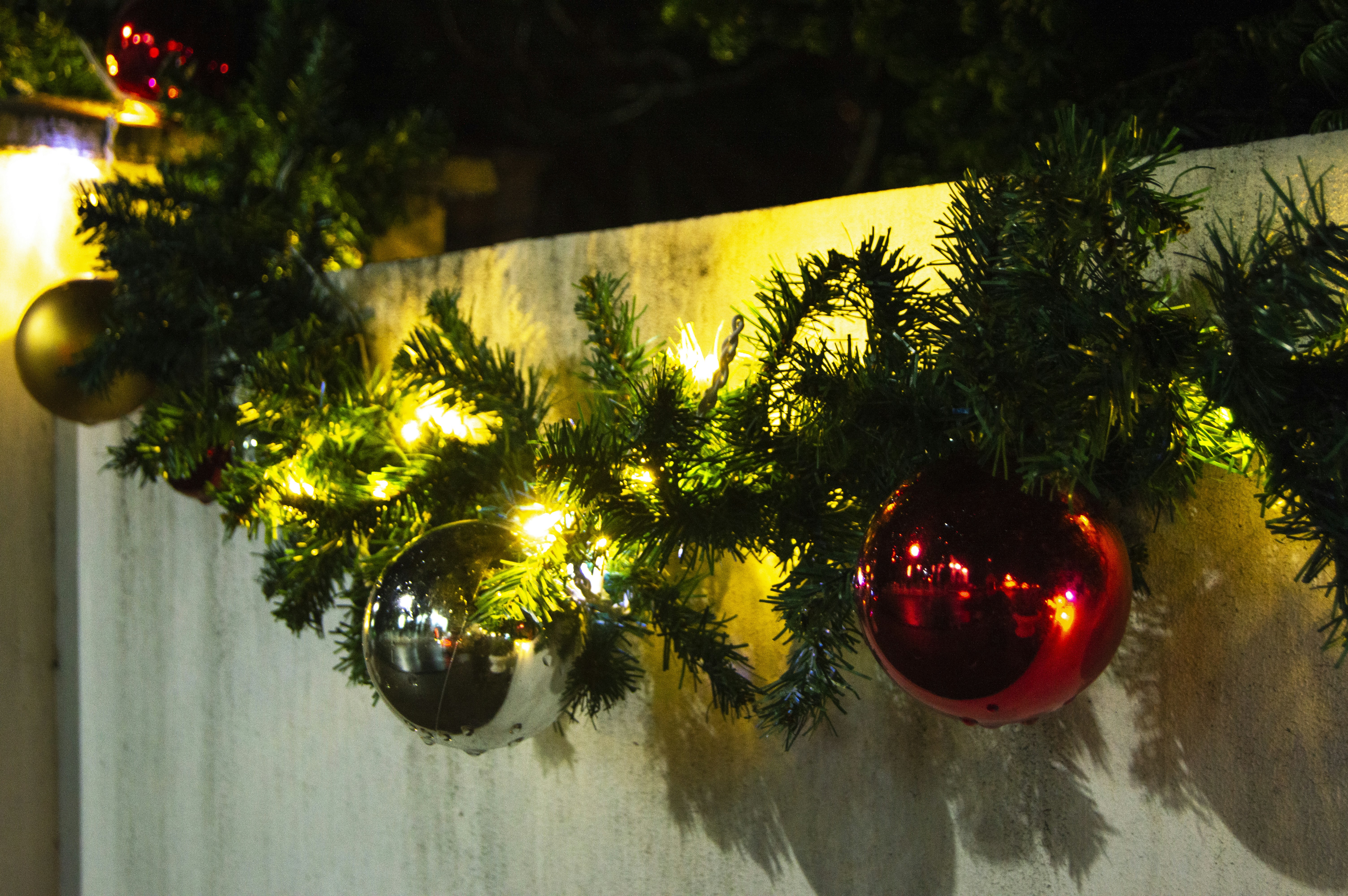 Photo by frosted_vulpes_ferrilata