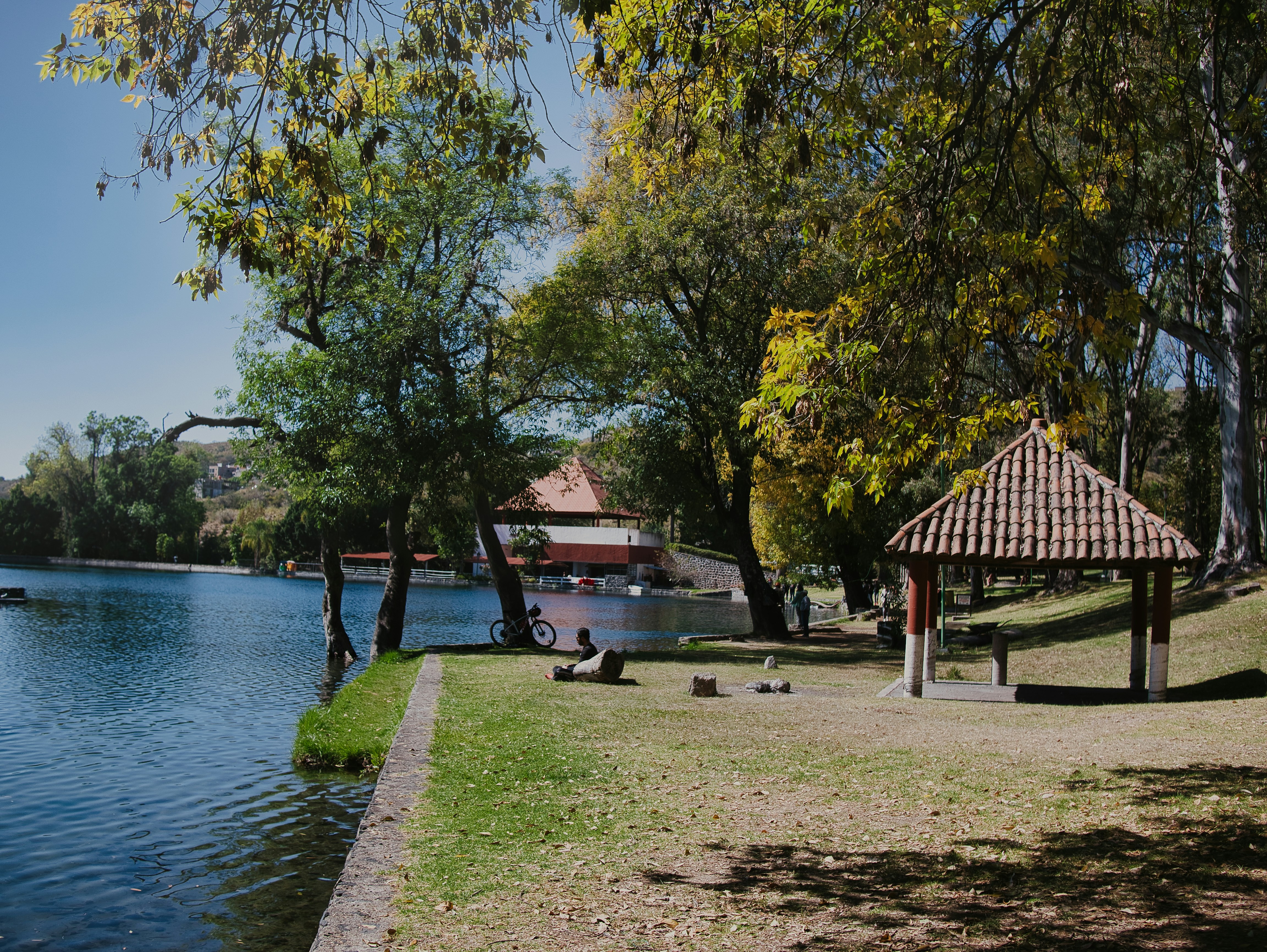a park with a lake and a gazebo
