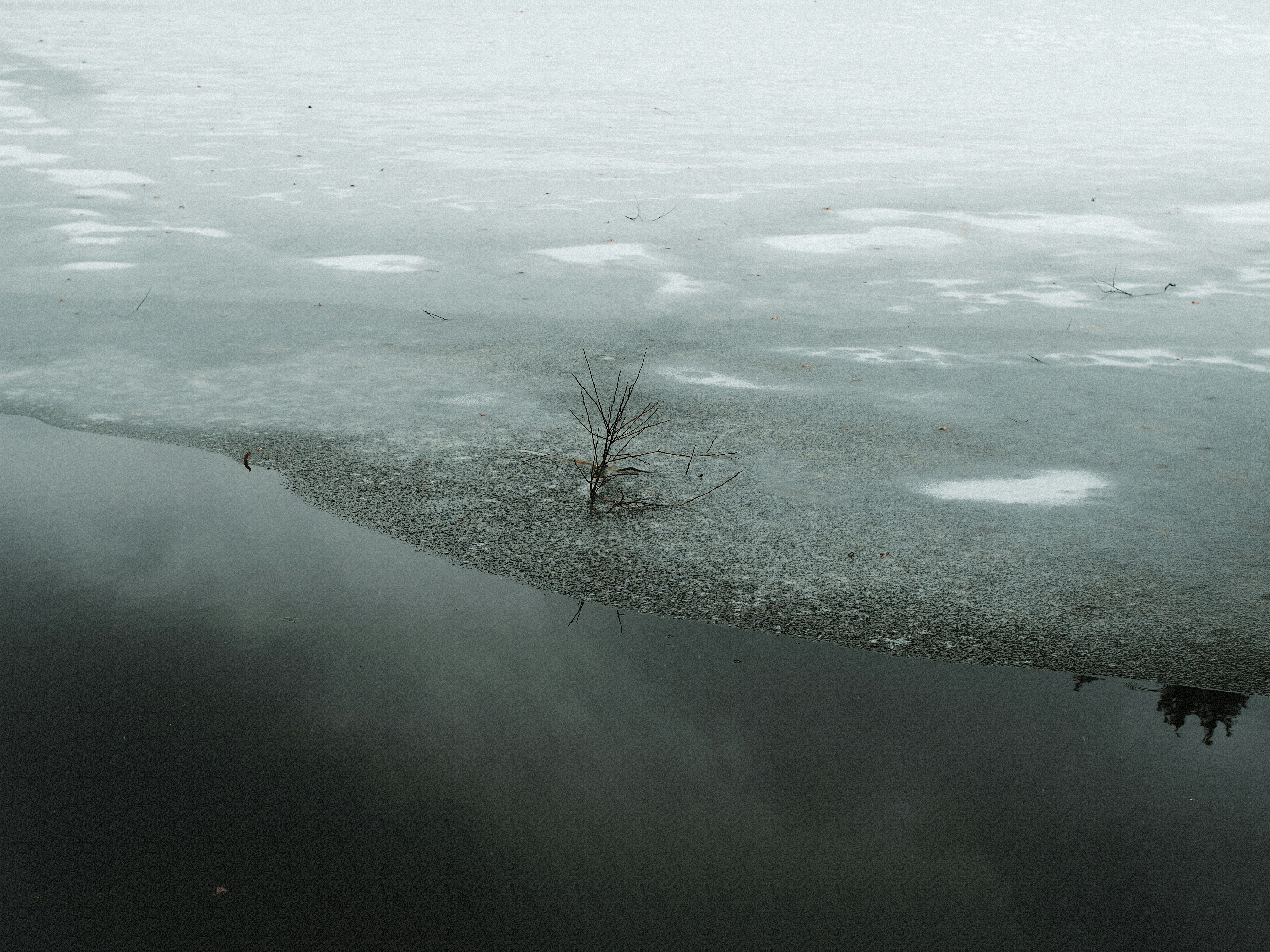 Photo by jkalina
