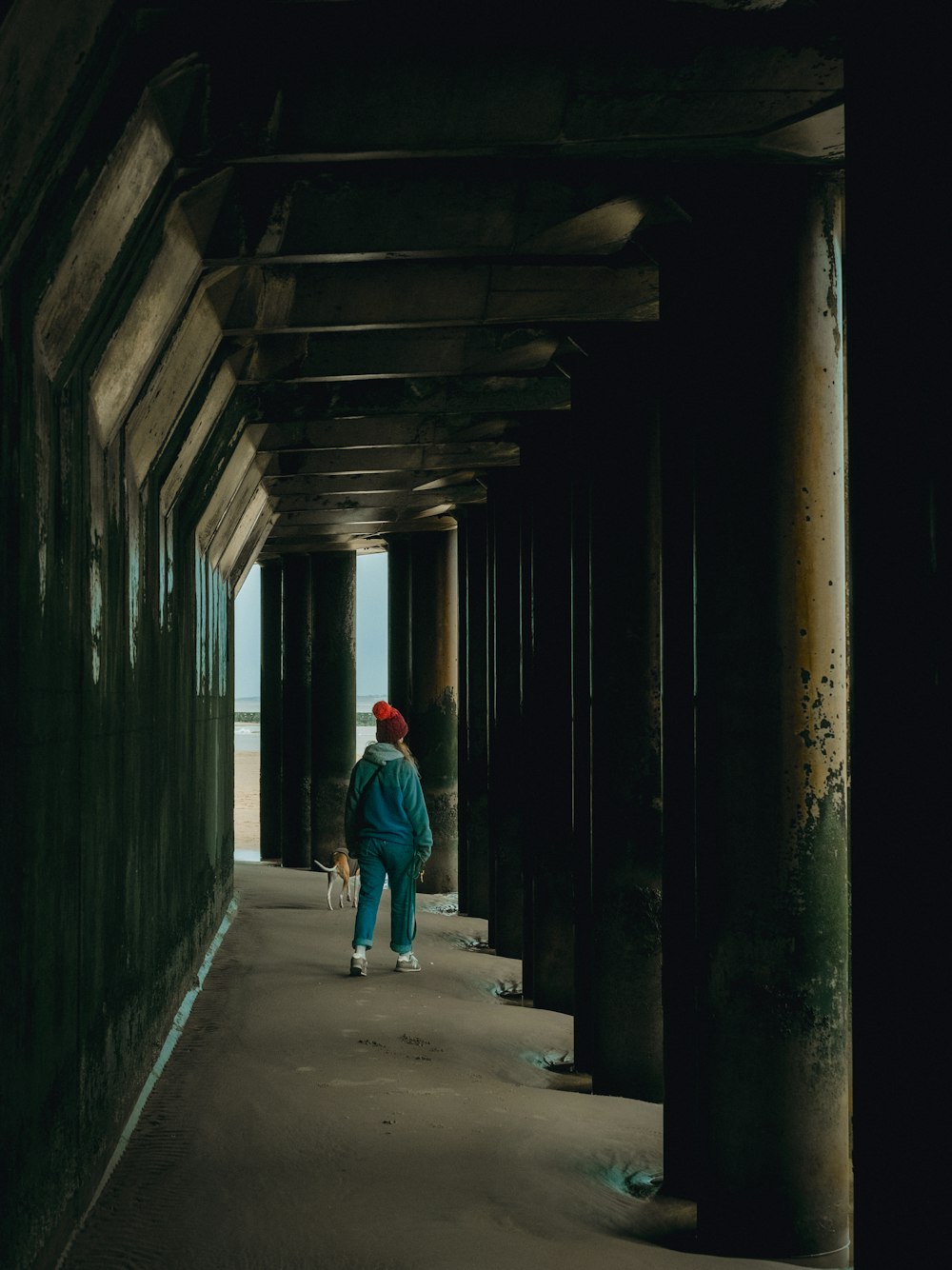 a person walking down a walkway with a dog