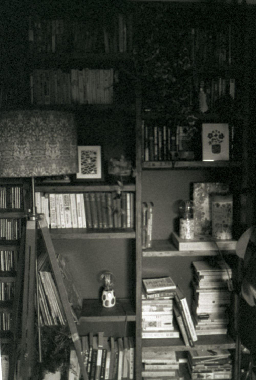 a black and white photo of a bookshelf full of books