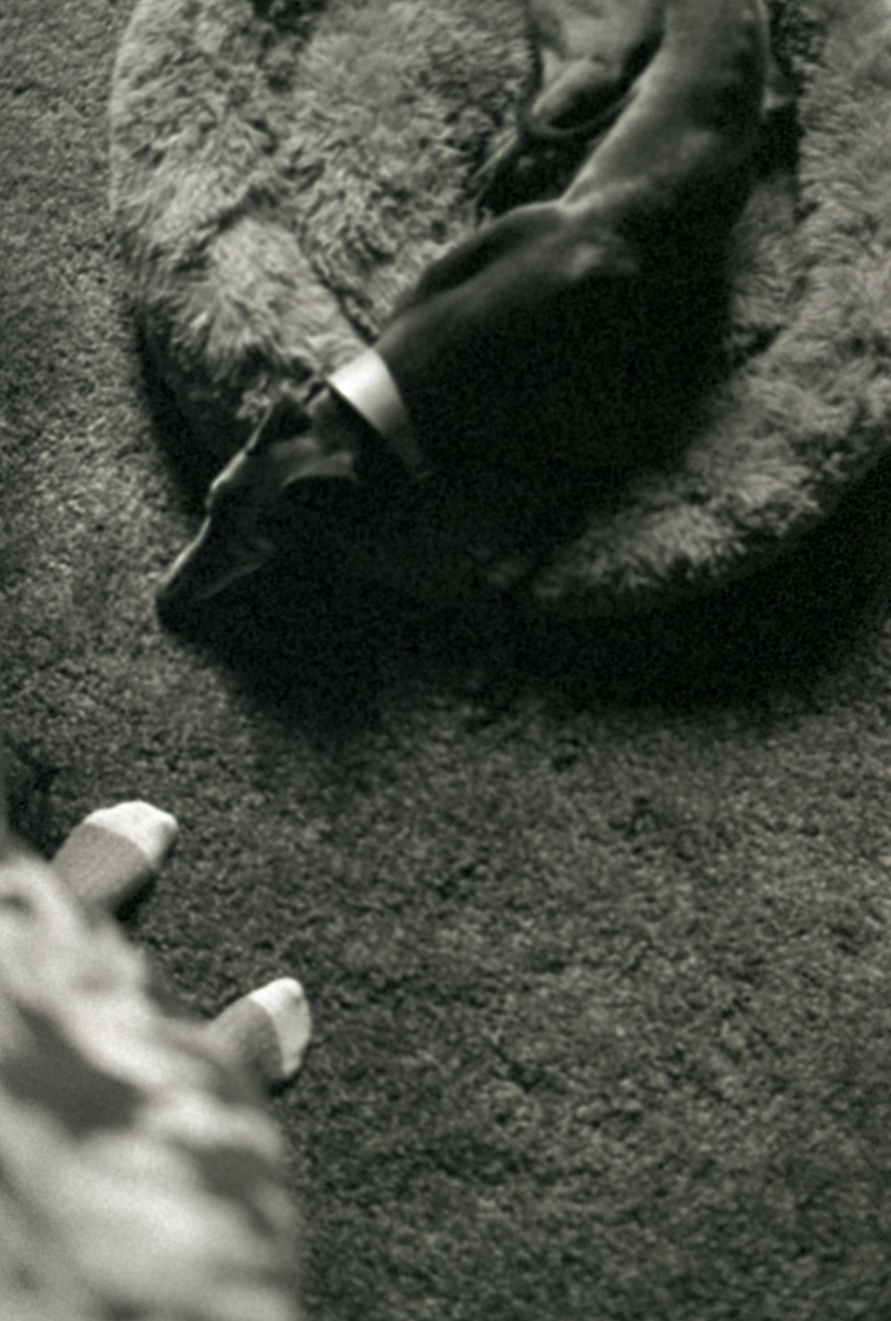 a black and white photo of a stuffed animal