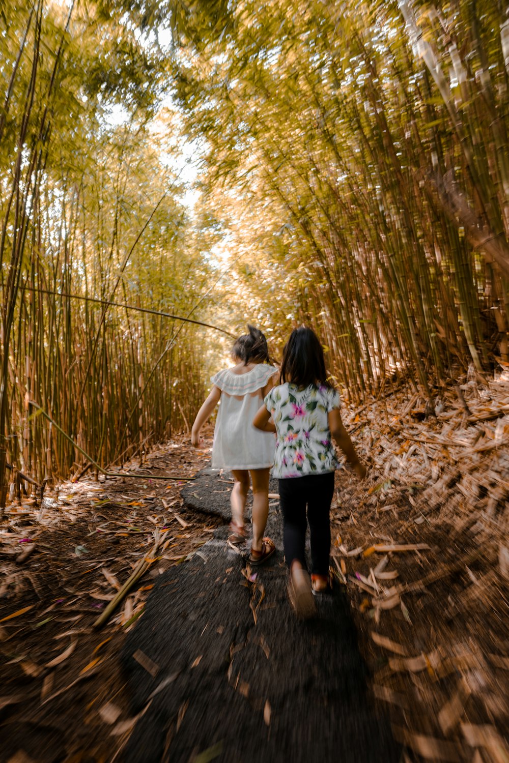 two little girls walking down a path in a bamboo forest