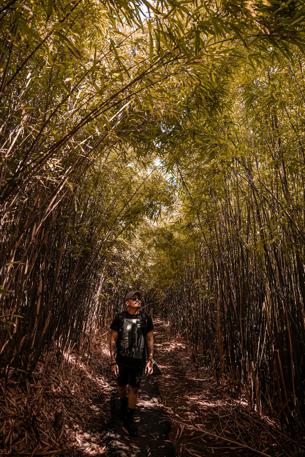 a man is walking through a bamboo forest