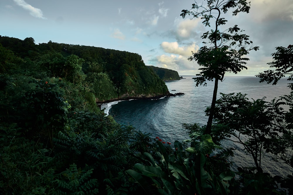 a view of the ocean from a cliff