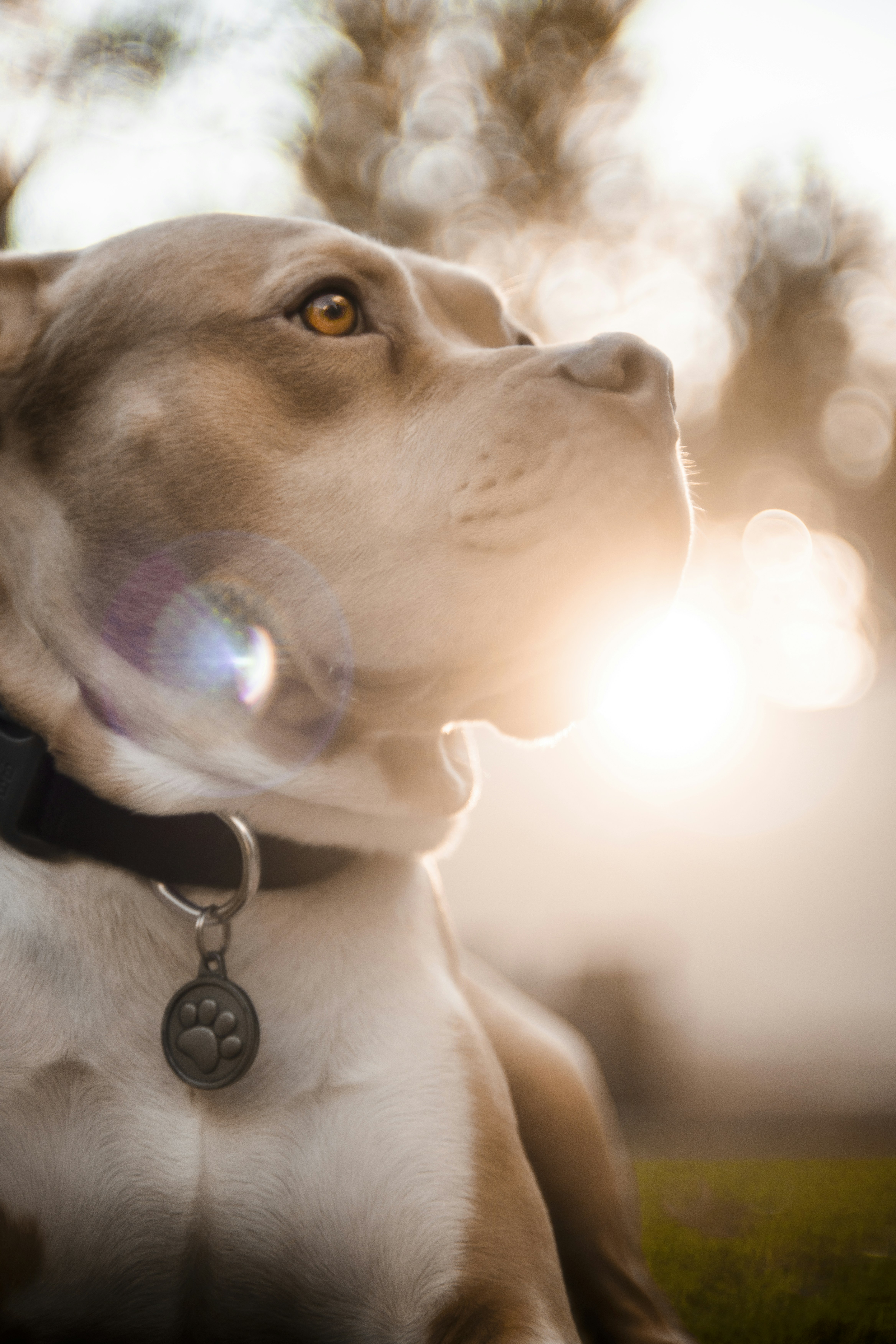 Photo by mikeperezmedia