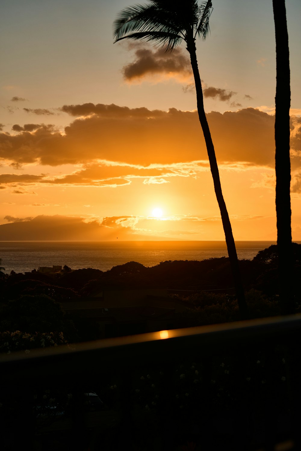 the sun is setting behind a palm tree