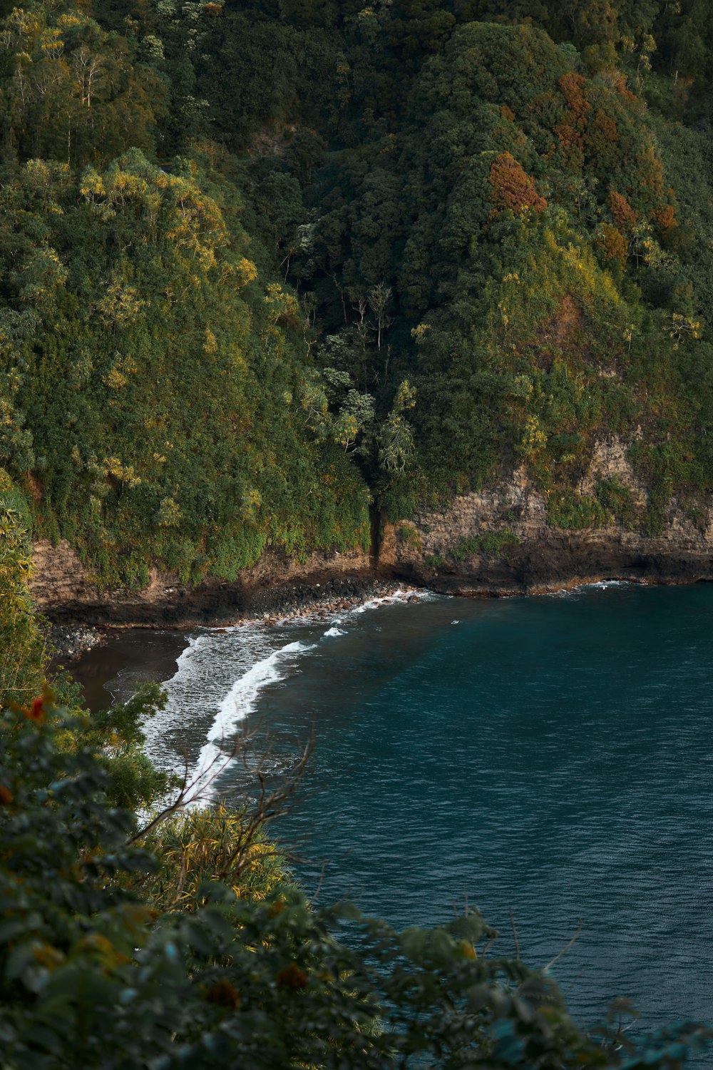 a person standing on the edge of a cliff near the ocean