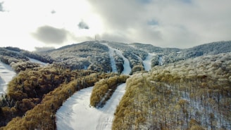 an aerial view of a snow covered mountain