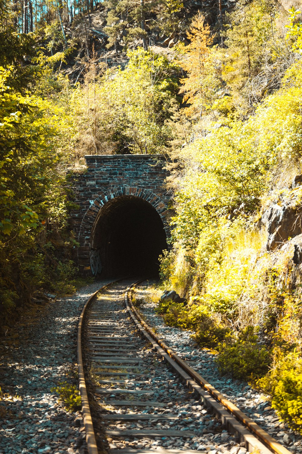 a train track going into a tunnel in the woods