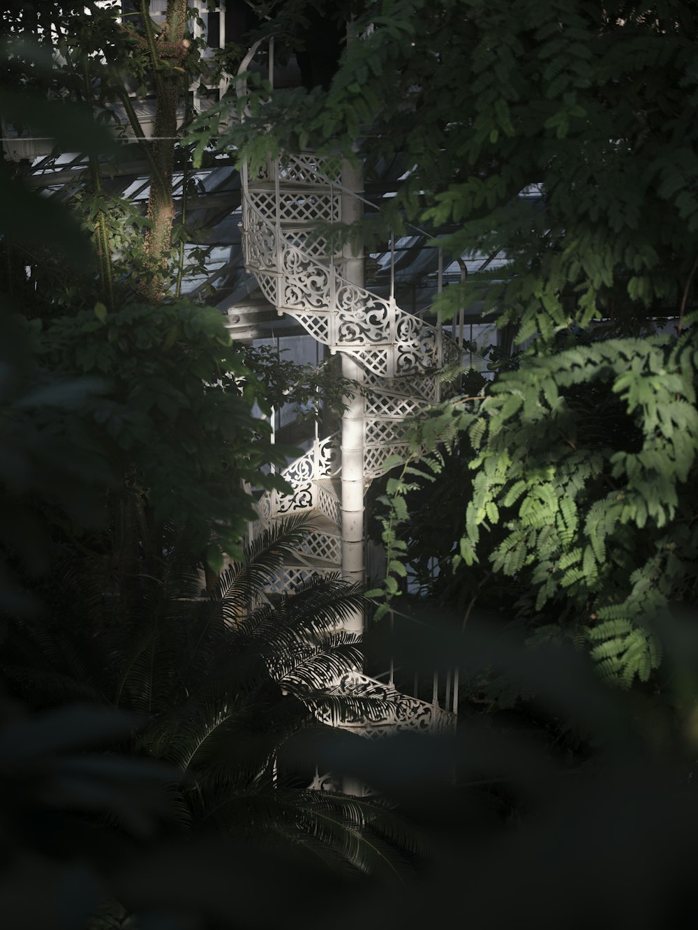 a spiral staircase in the middle of a forest