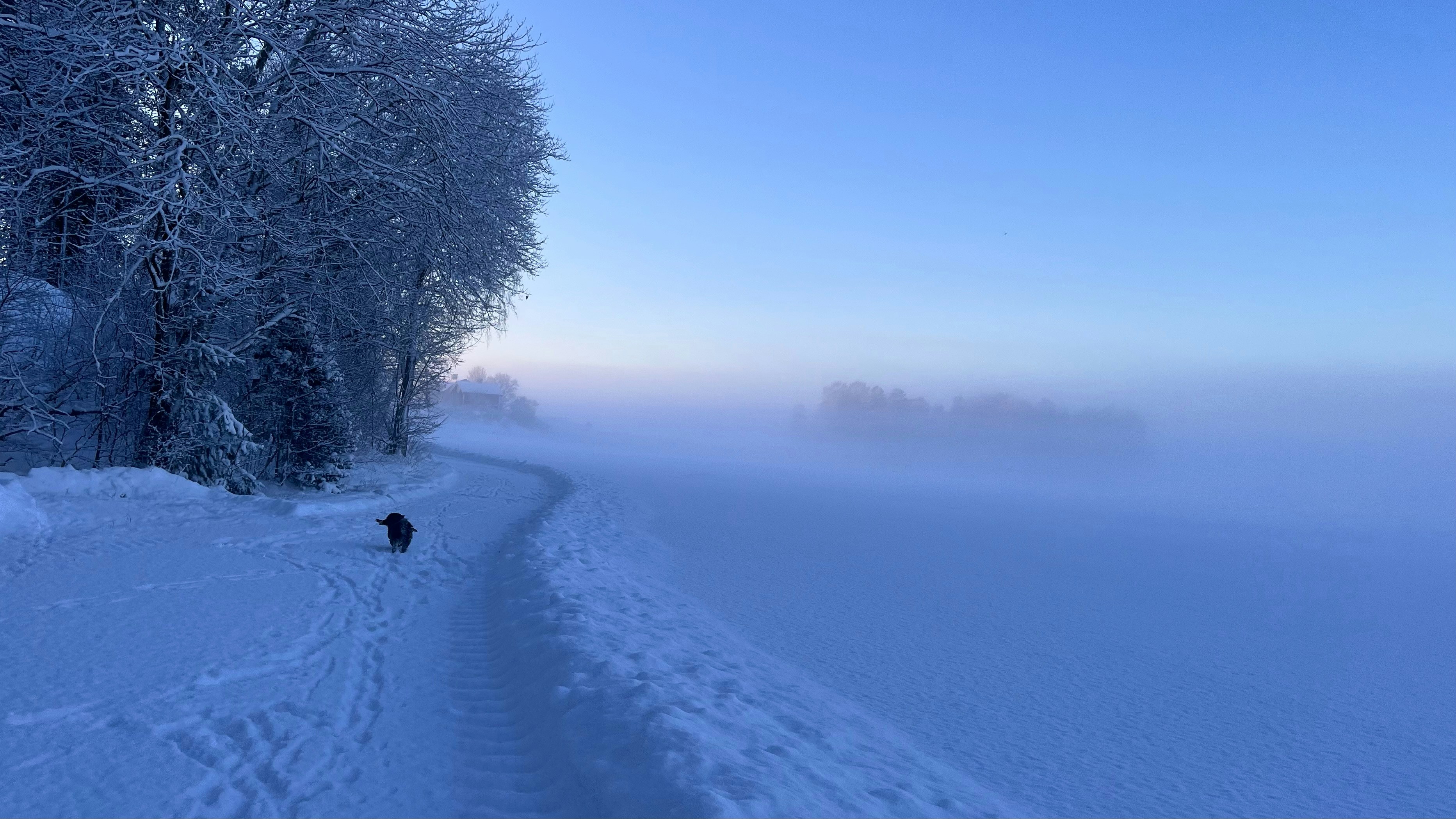 Photo by thojen